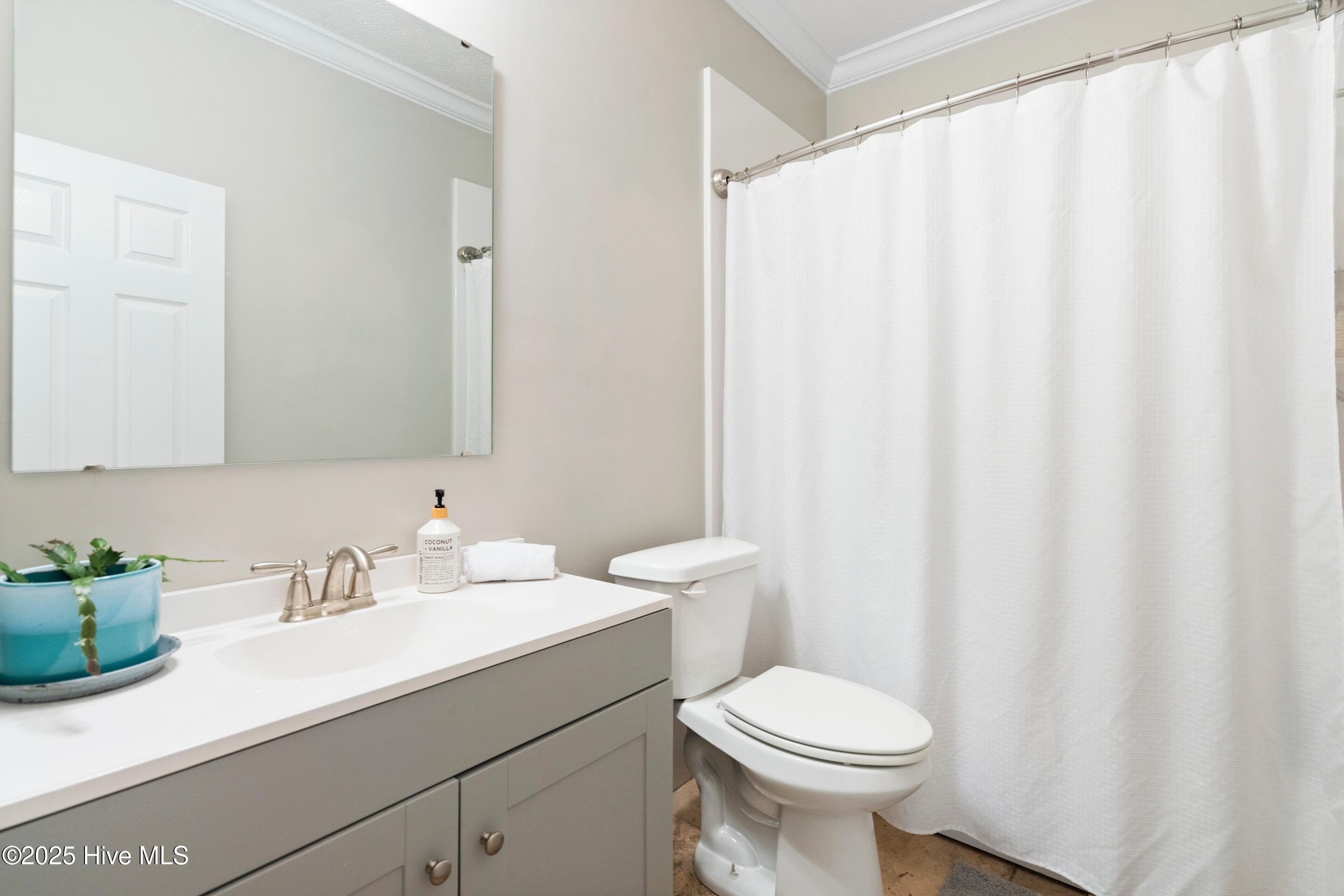 100535134 | Photo 26