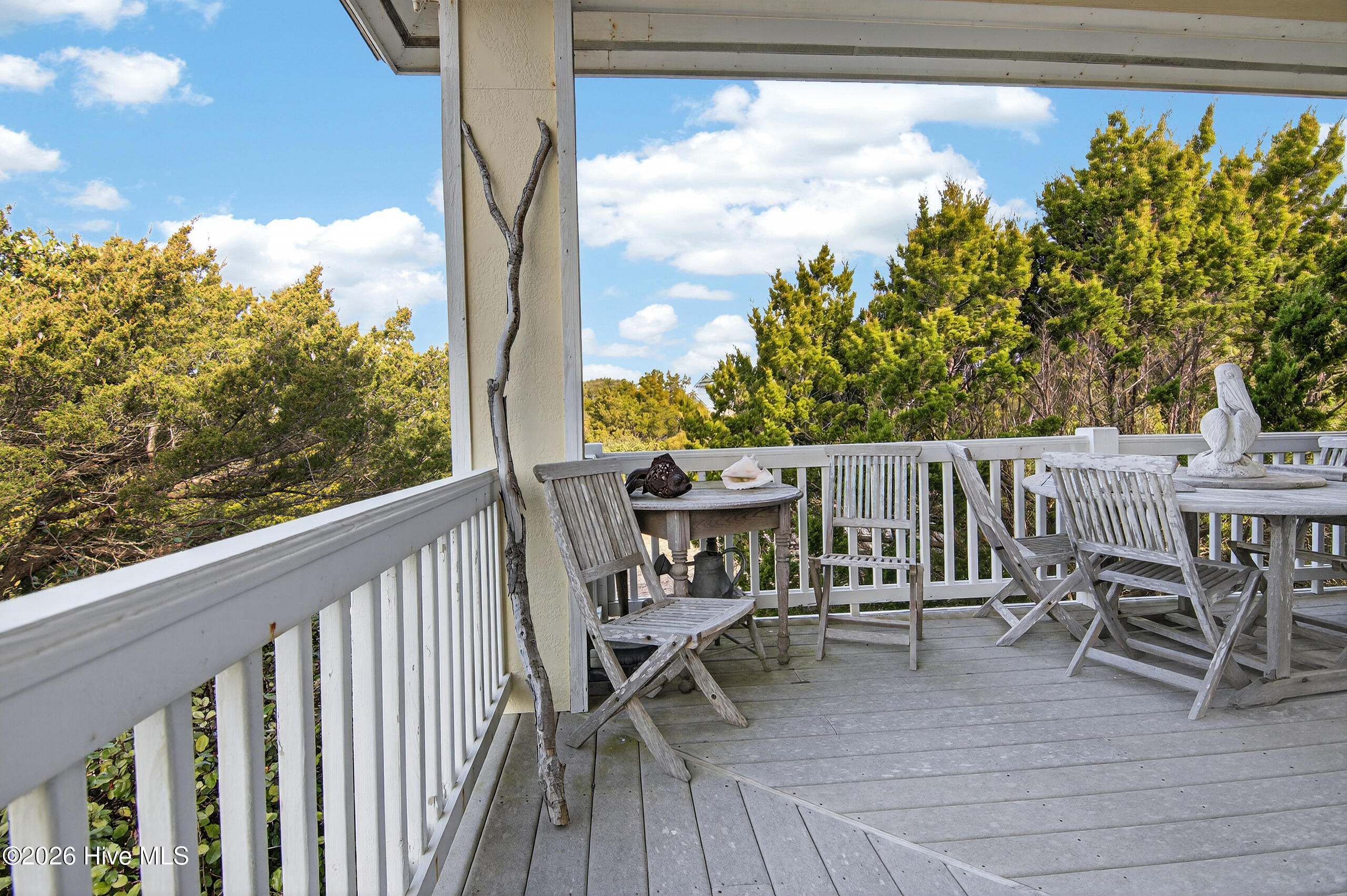 100556296 | Photo 16