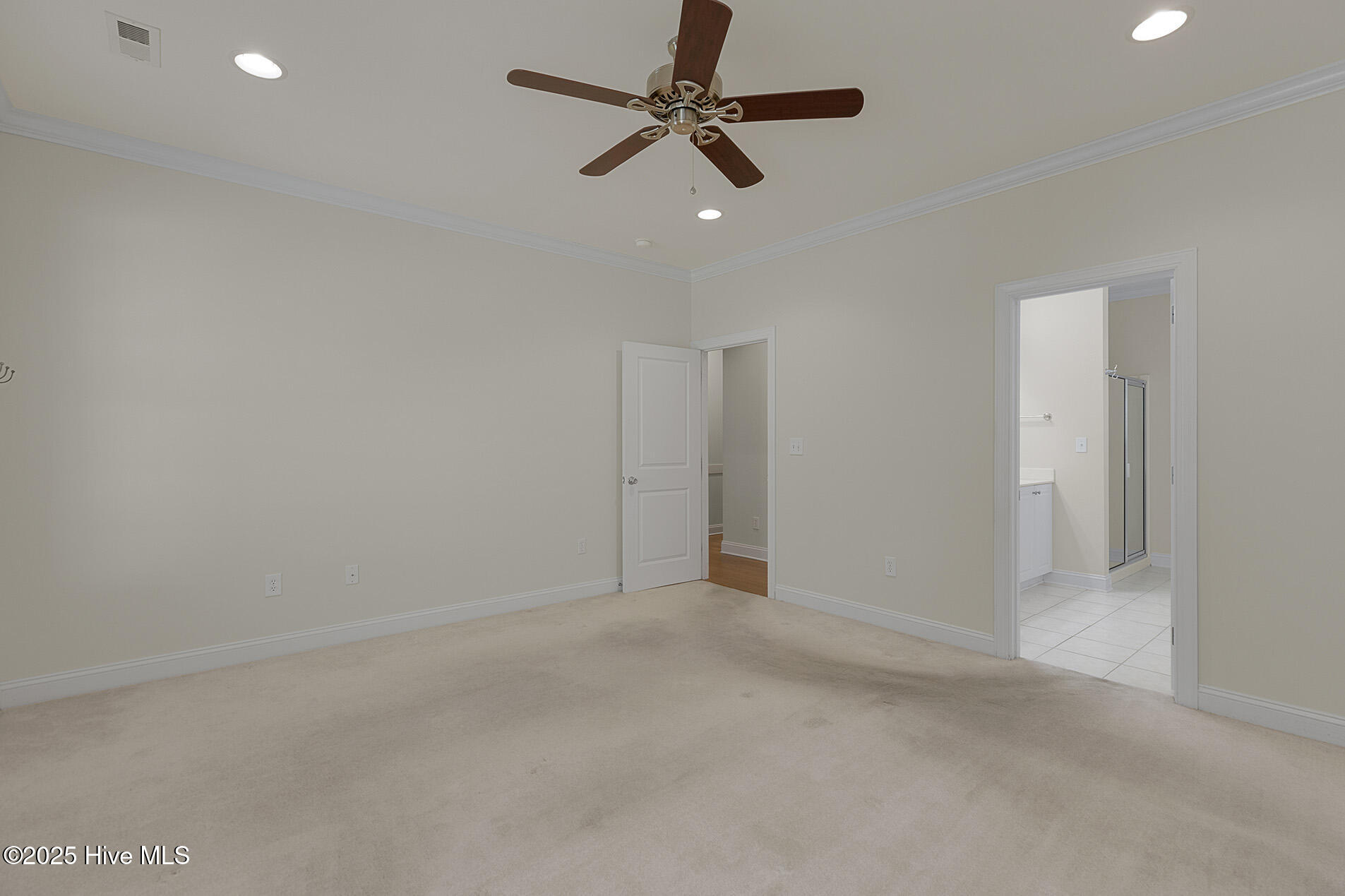 100558223 | Photo 25