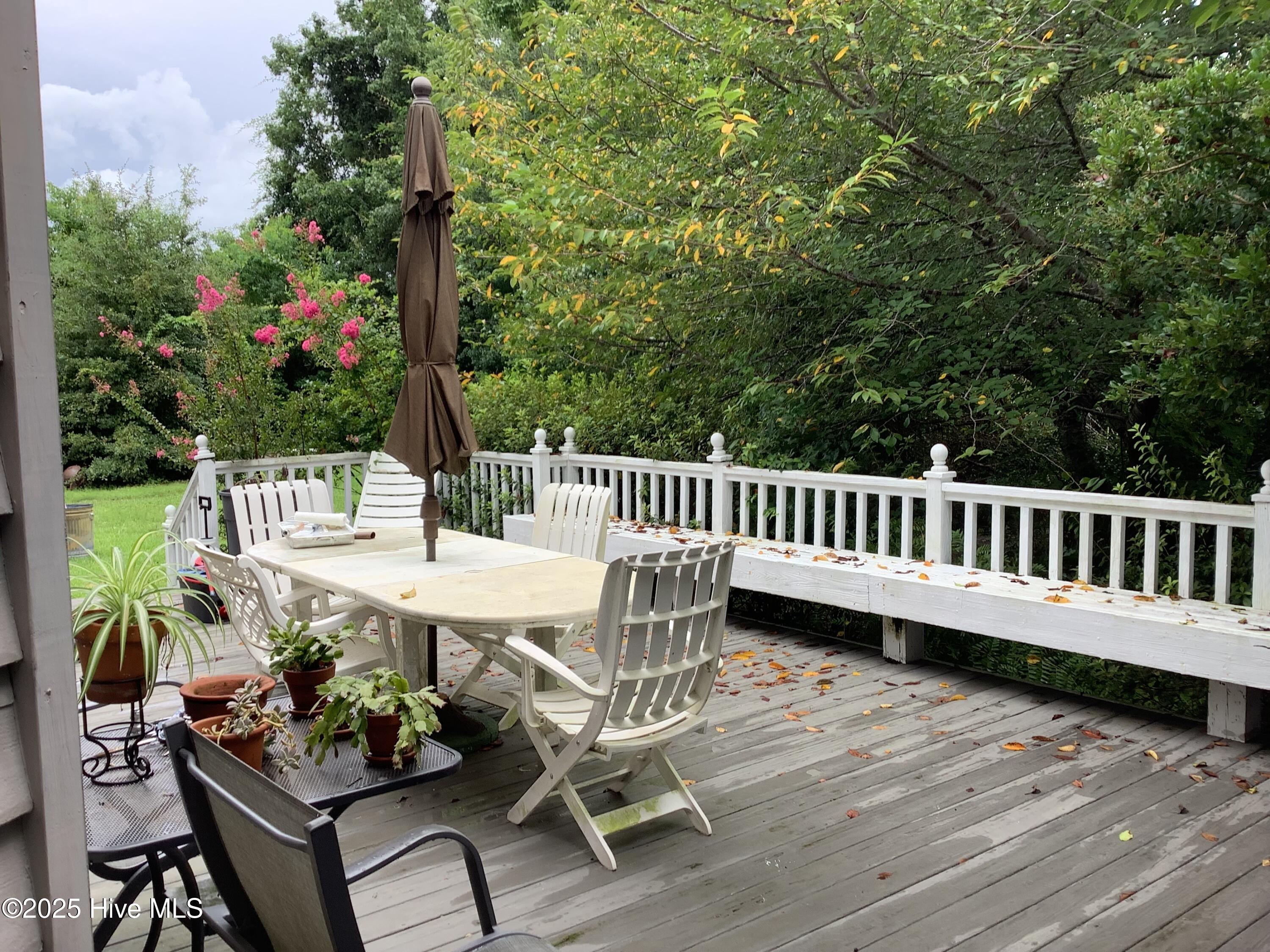 100524390 | Photo 35