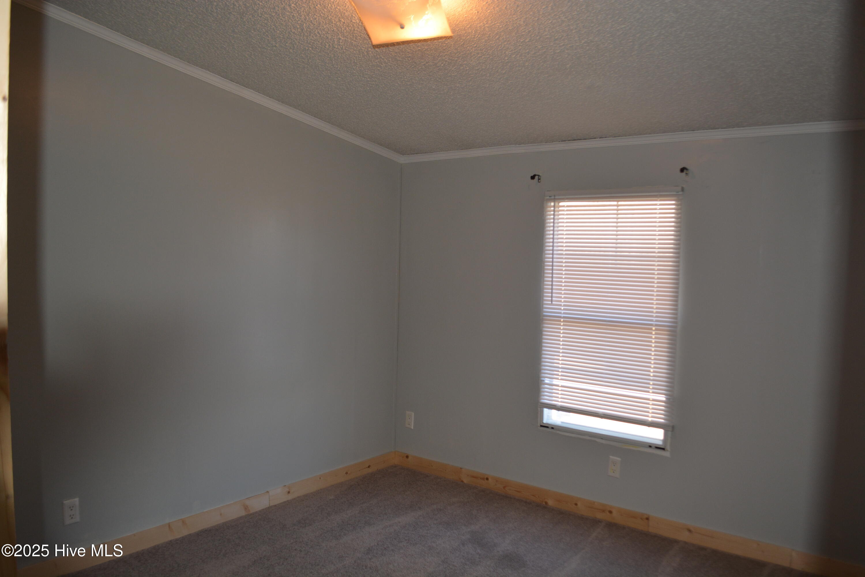 100545218 | Photo 13