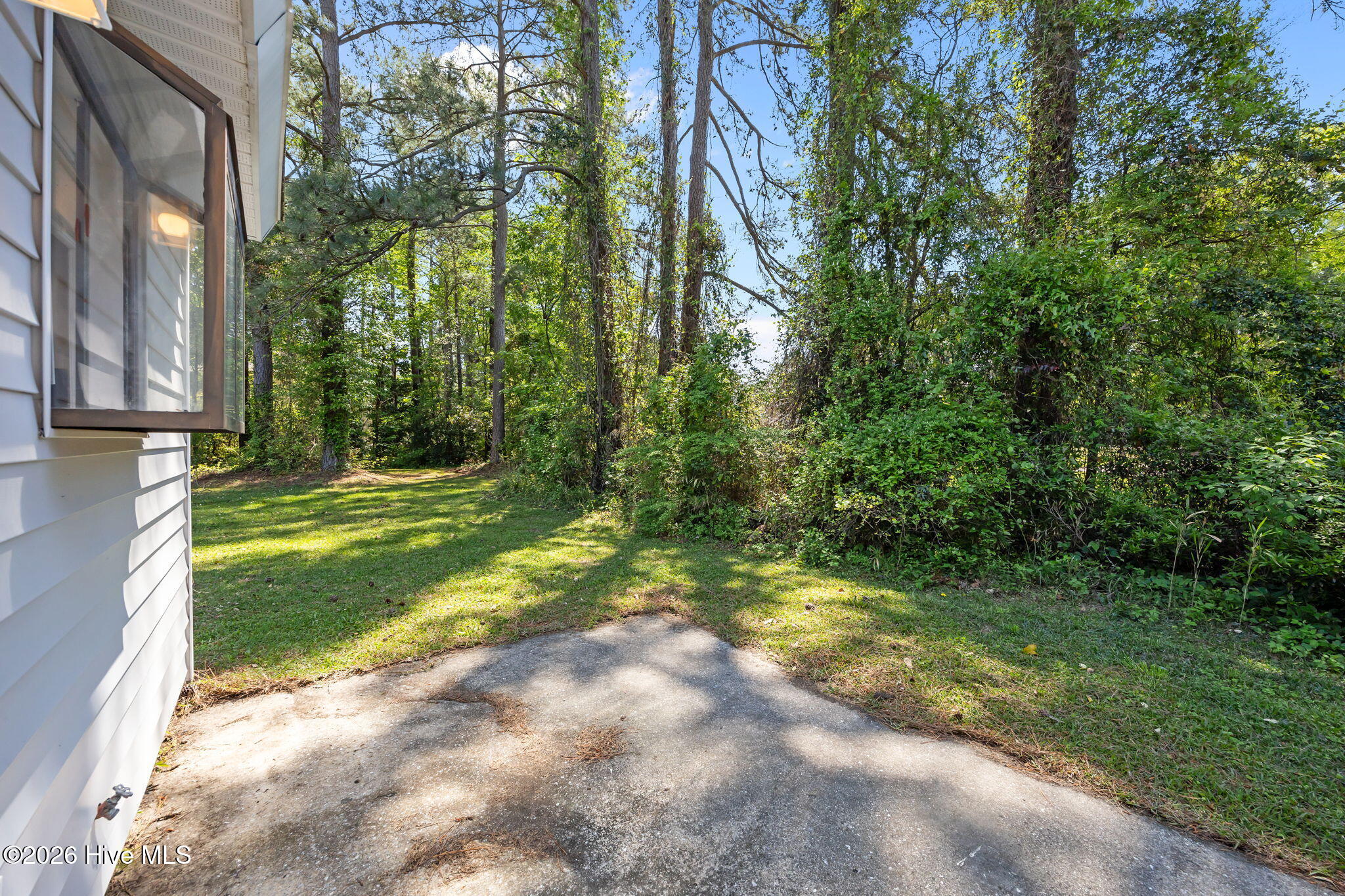 100561200 | Photo 18