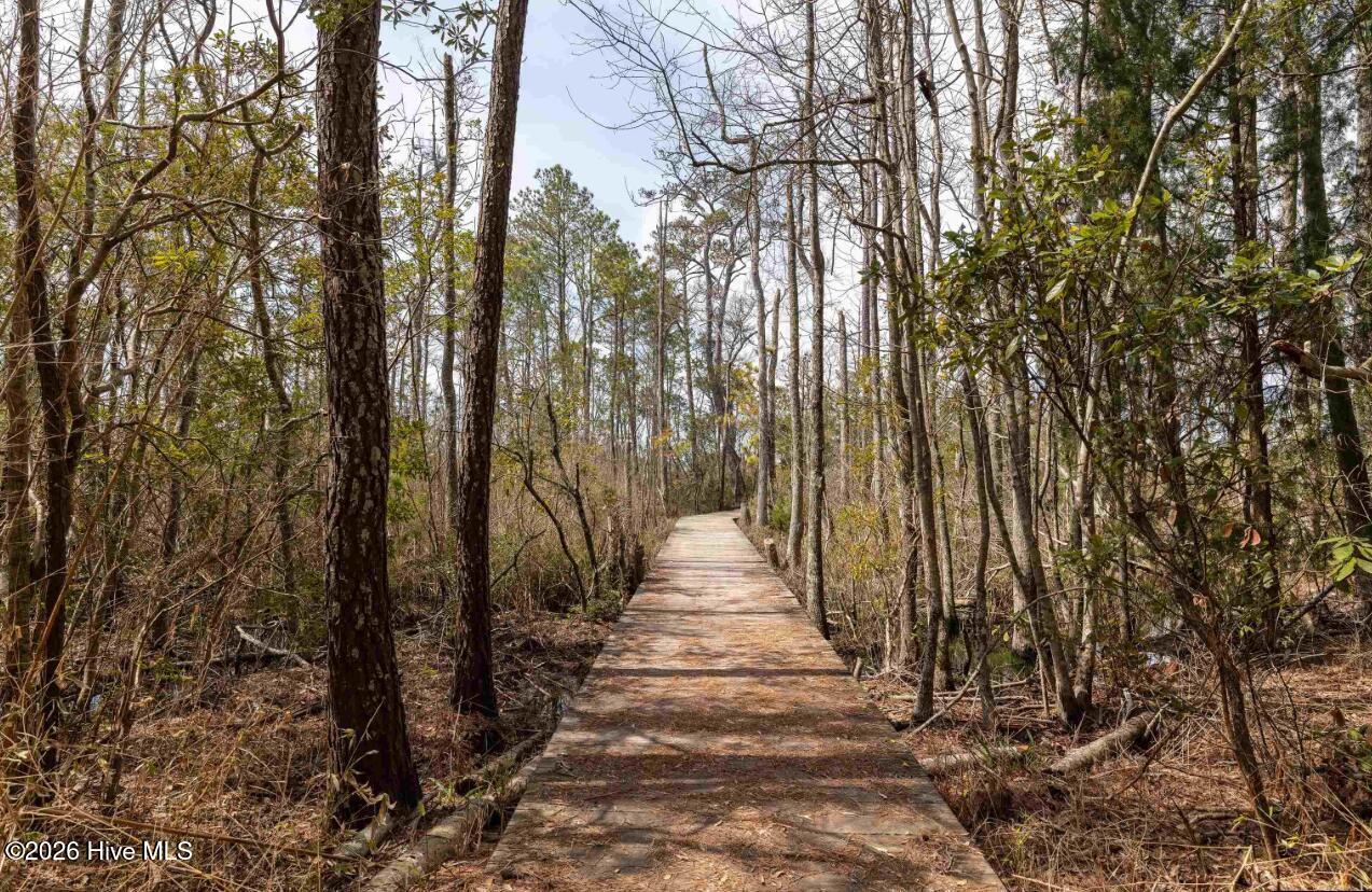 Exterior photo of 164 Chicora Court, Manteo, NC 27954. MLS: 100590132