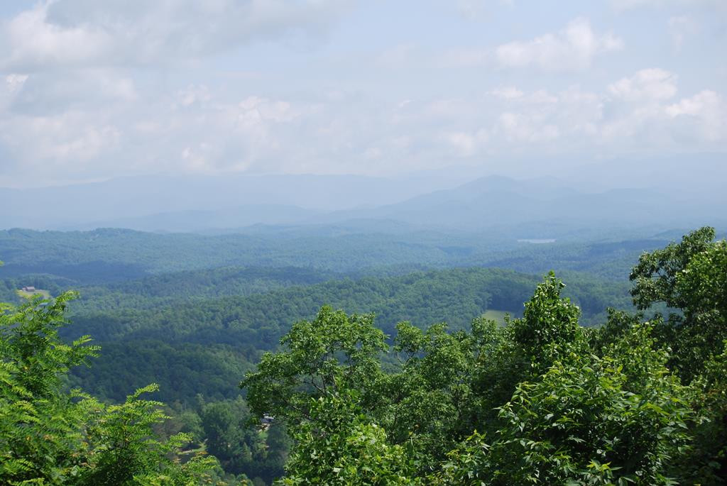 1013 Buck Ridge Drive, Murphy, NC 28906 Listing Photo  45