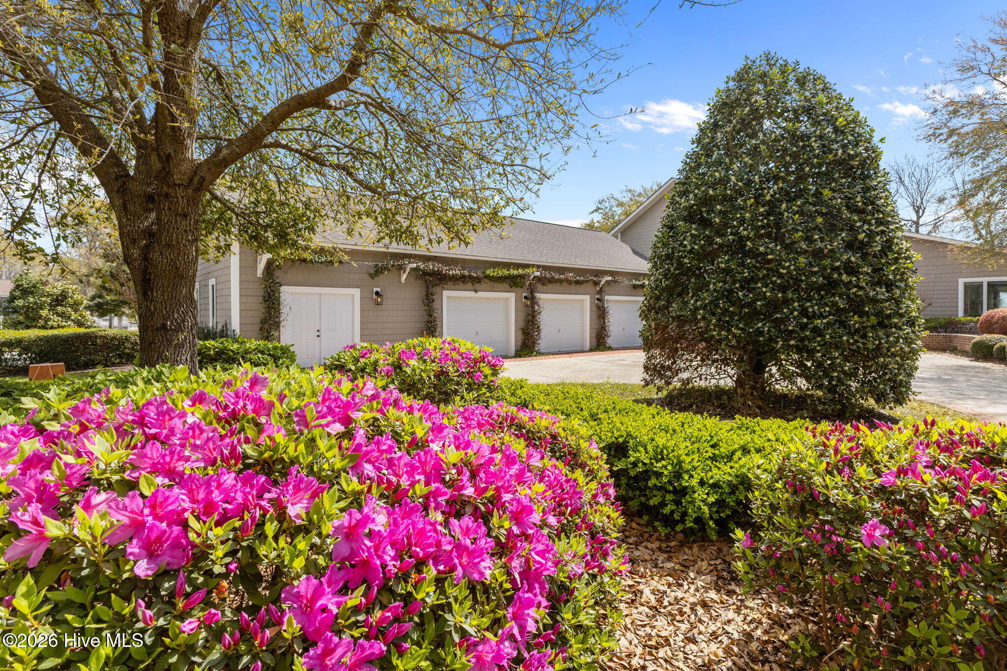 100564648 | Photo 55