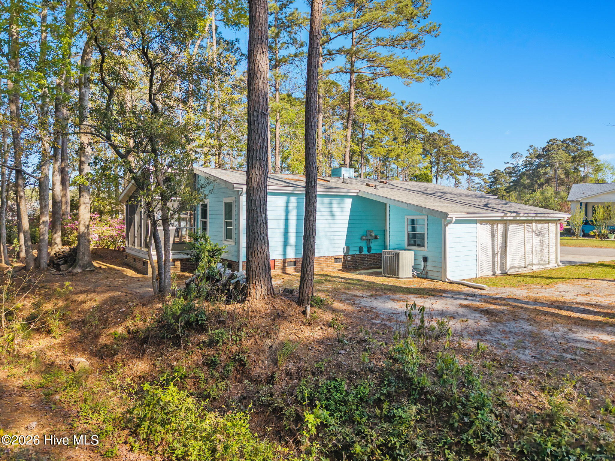 100555221 | Photo 55