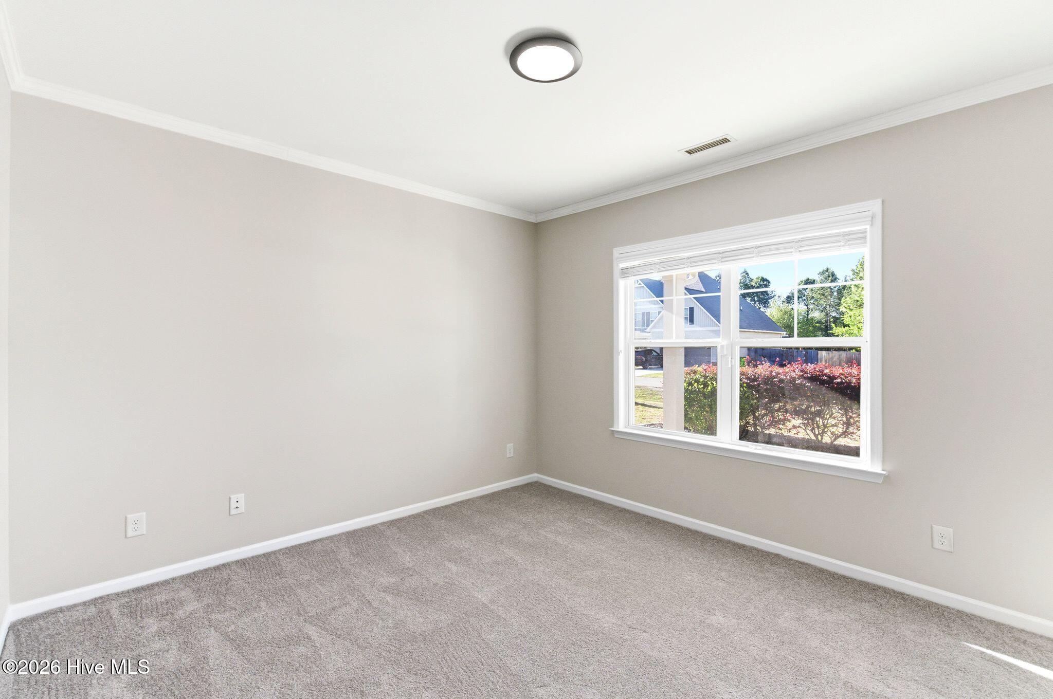 100566859 | Photo 15