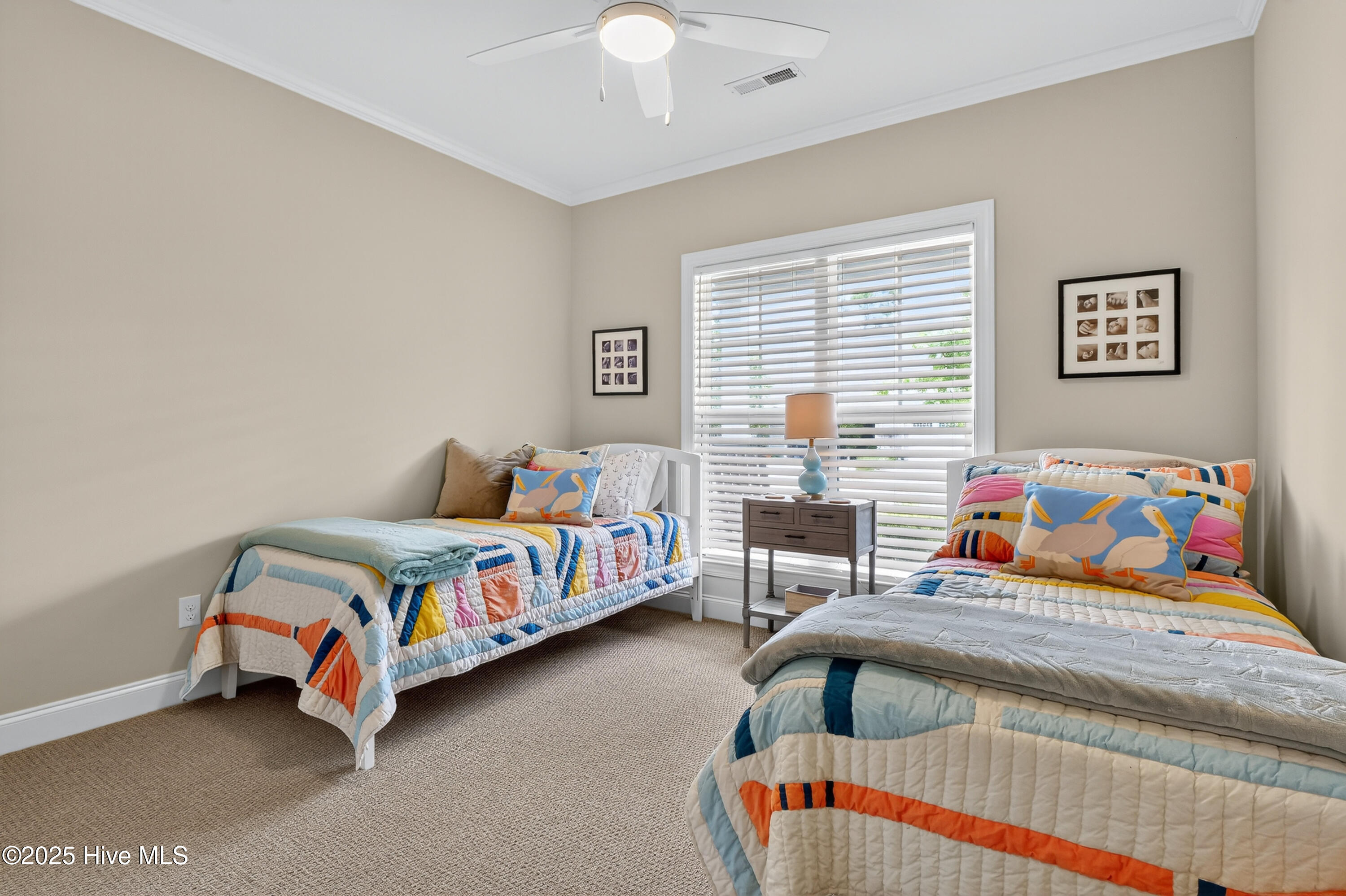 100529241 | Photo 18