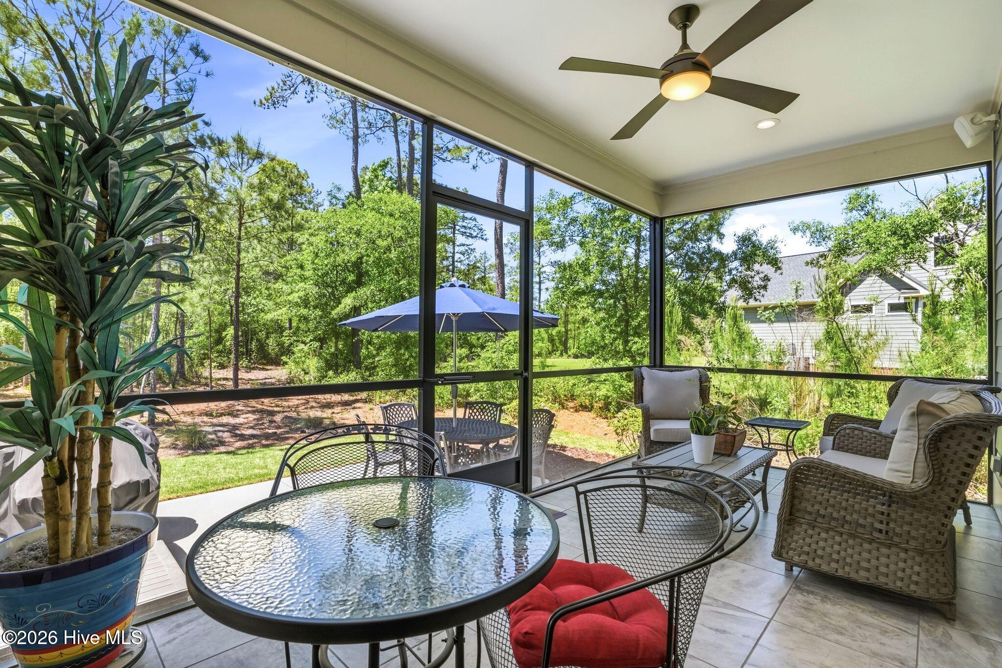 100569004 | Photo 43