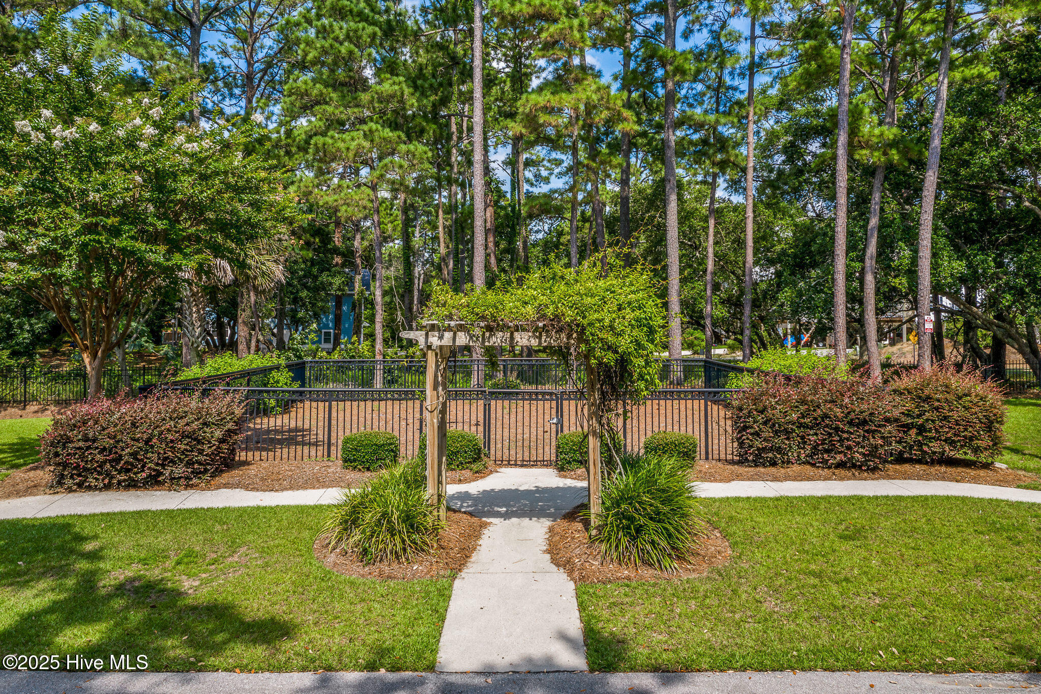 100526036 | Photo 23