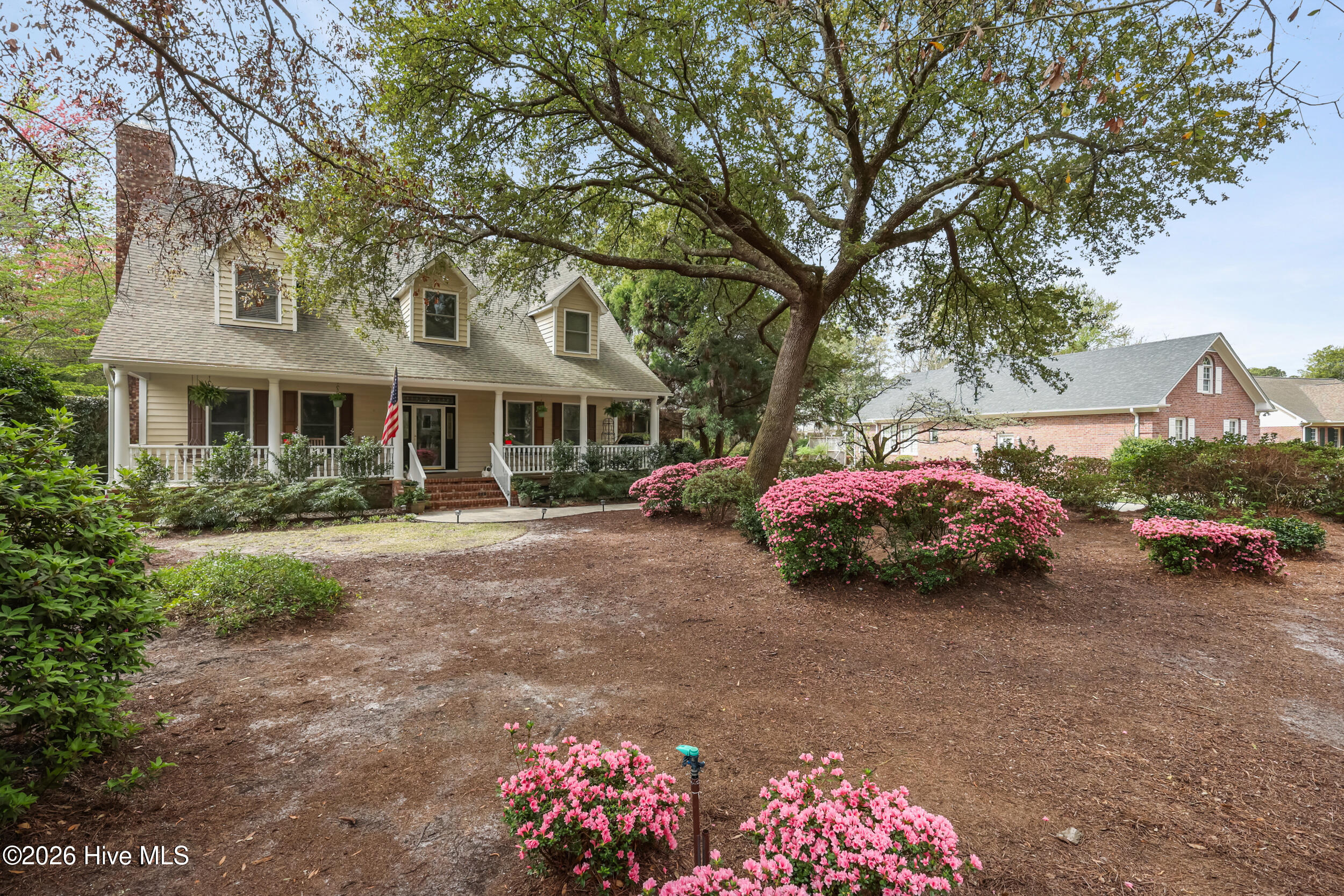 100507582 | Photo 56