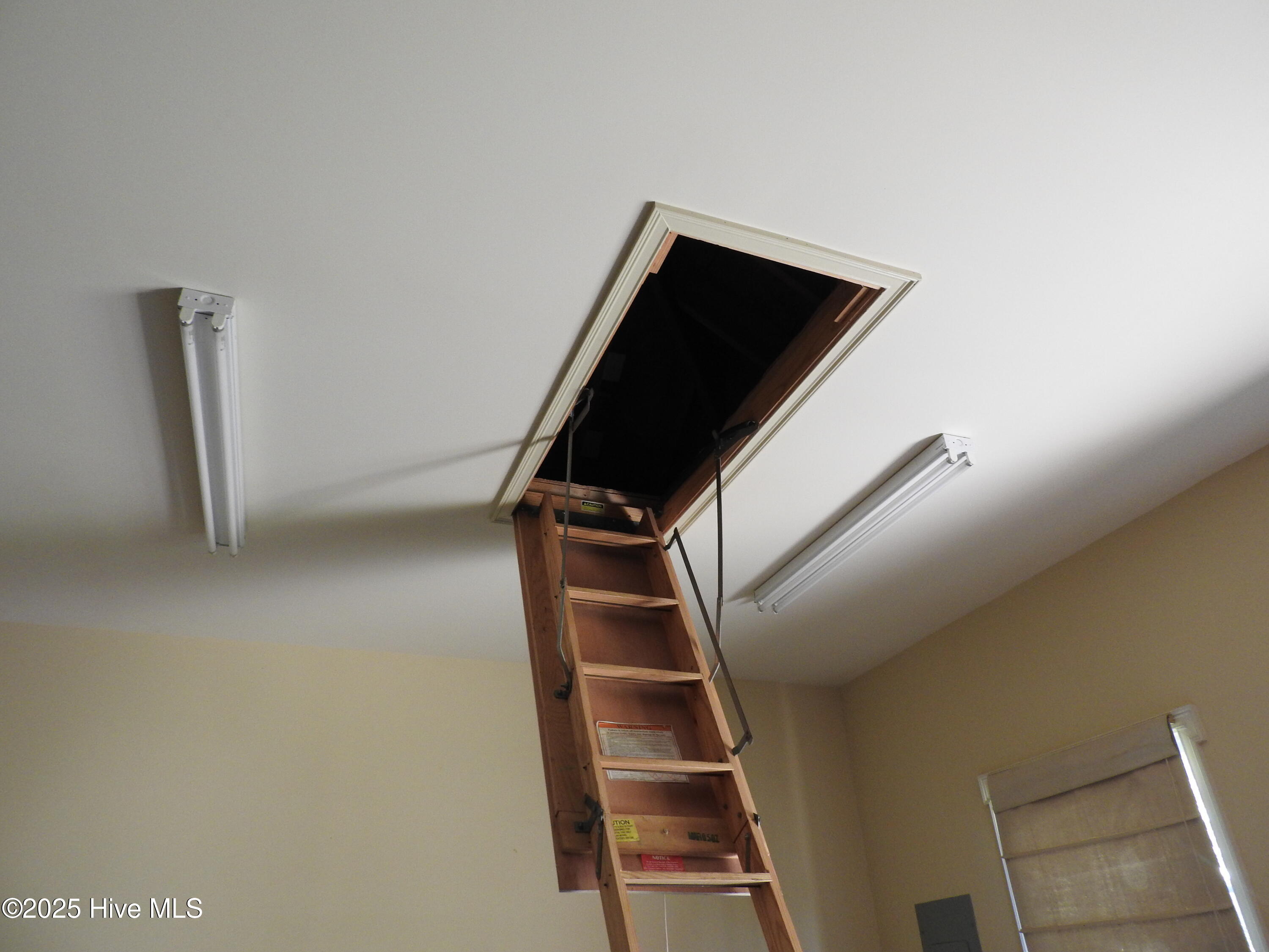 100520083 | Photo 36