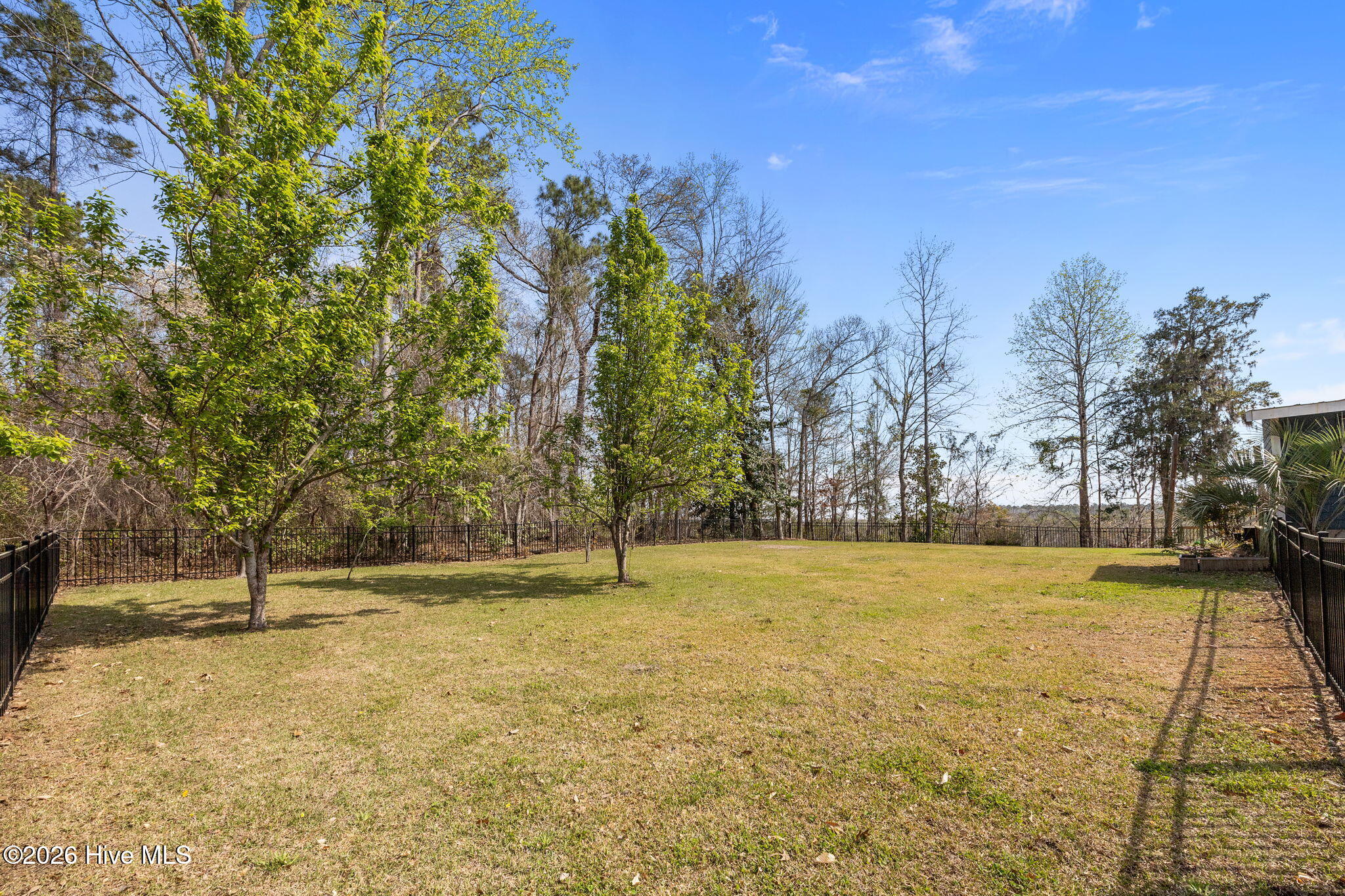 100562529 | Photo 48