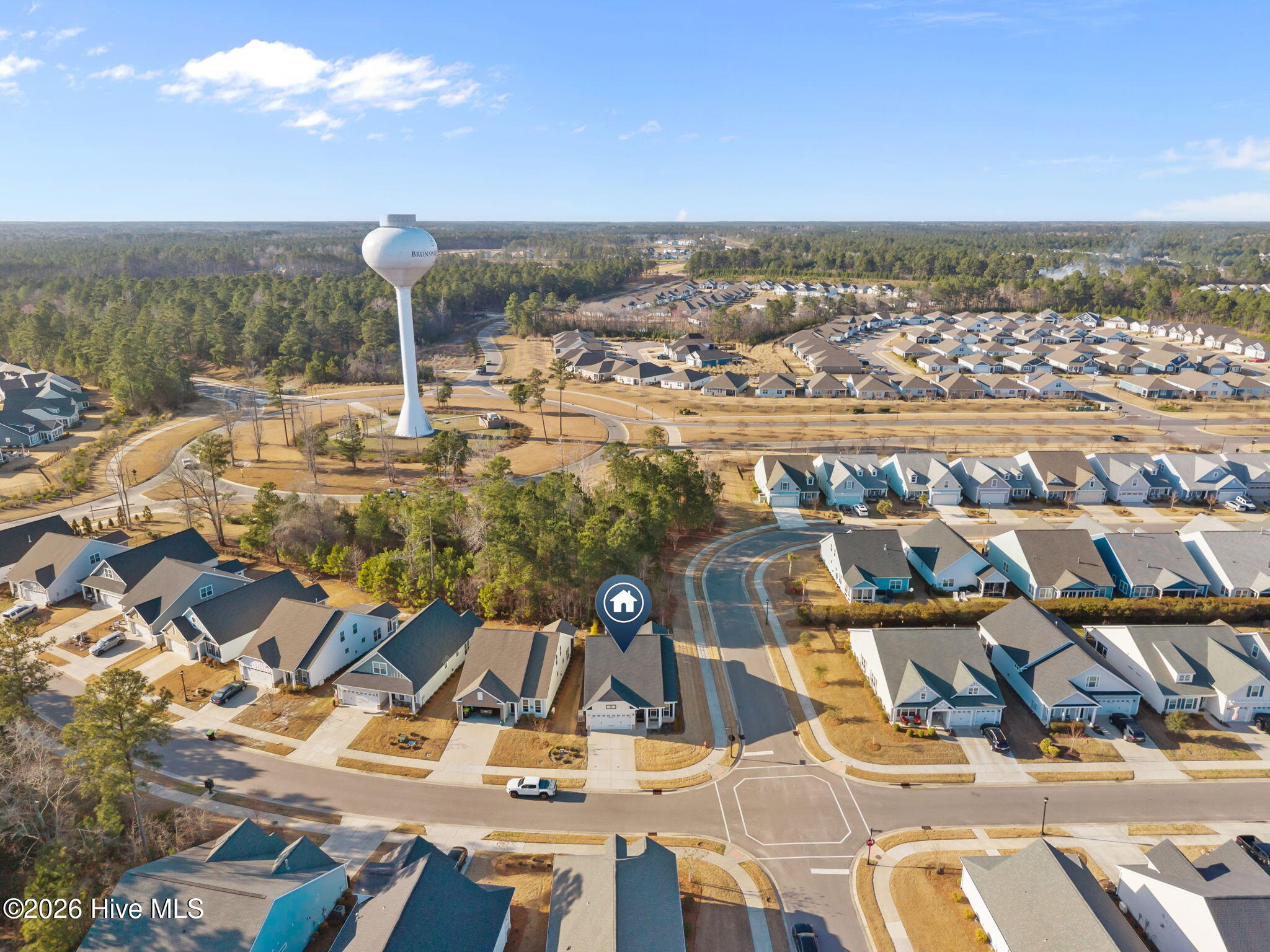 100557364 | Photo 50