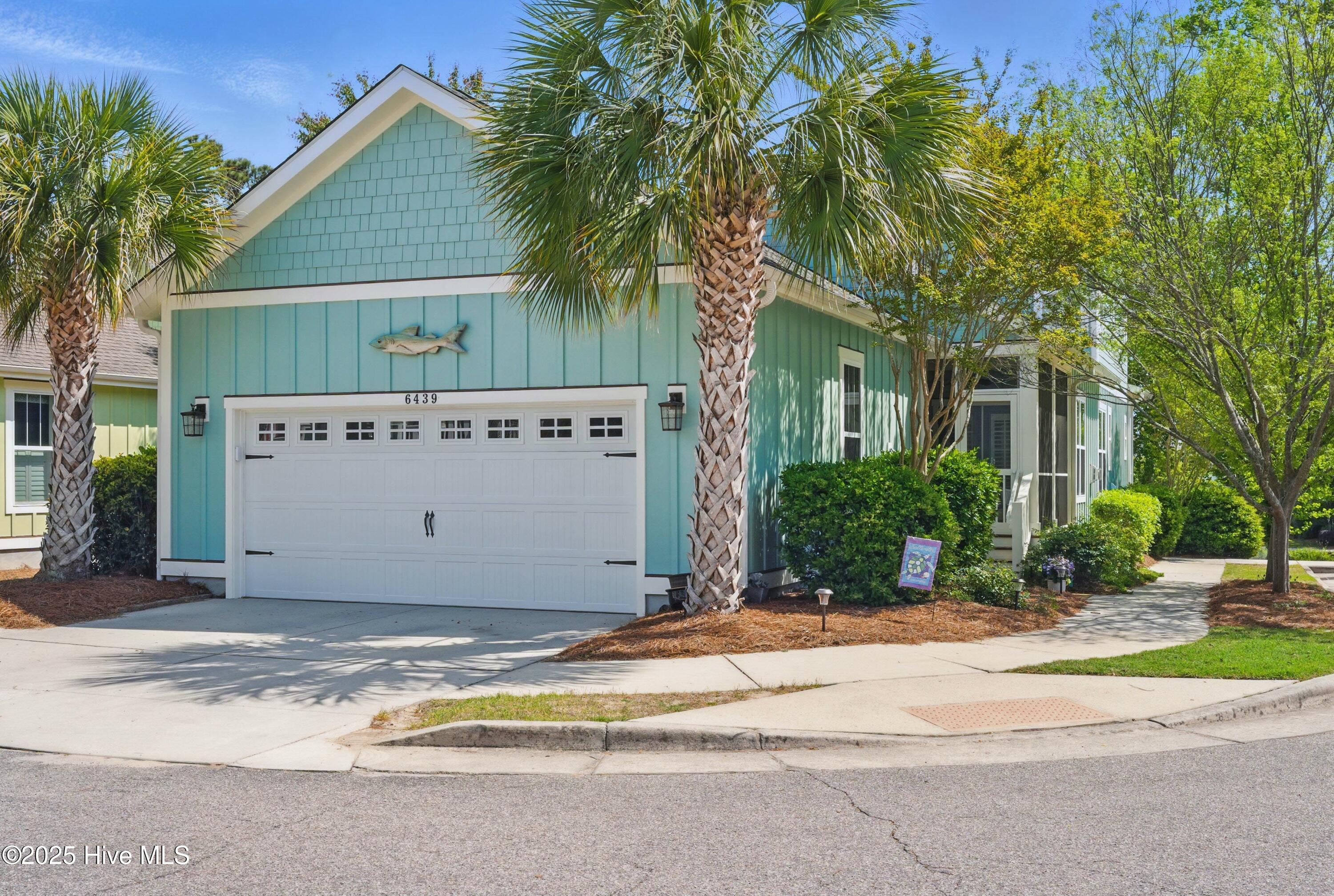 100503387 | Photo 77