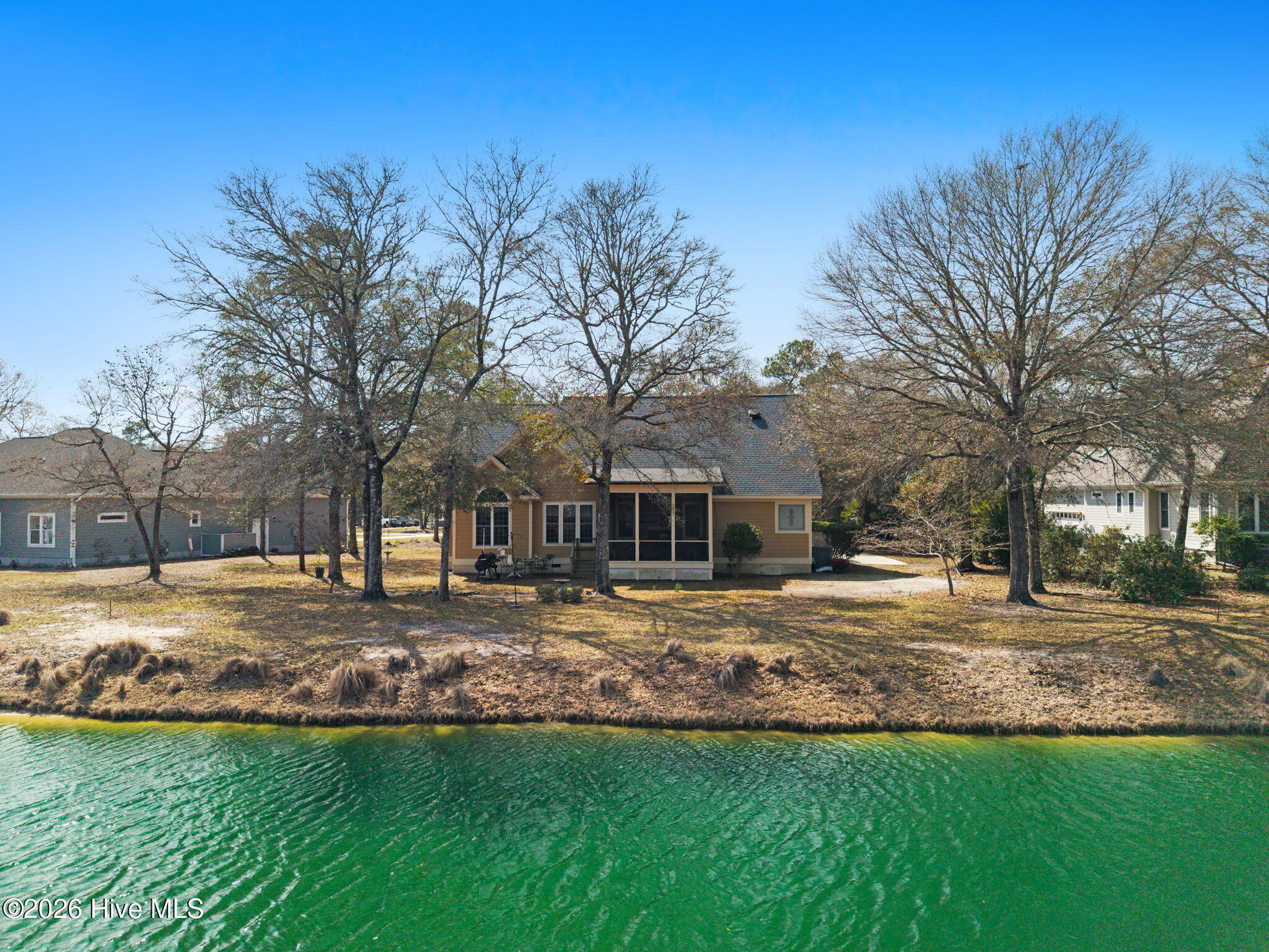 100560894 | Photo 39