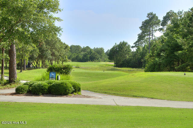 100554339 | Photo 23