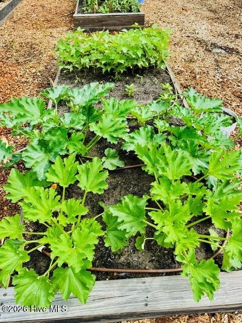 100493781 | Photo 39