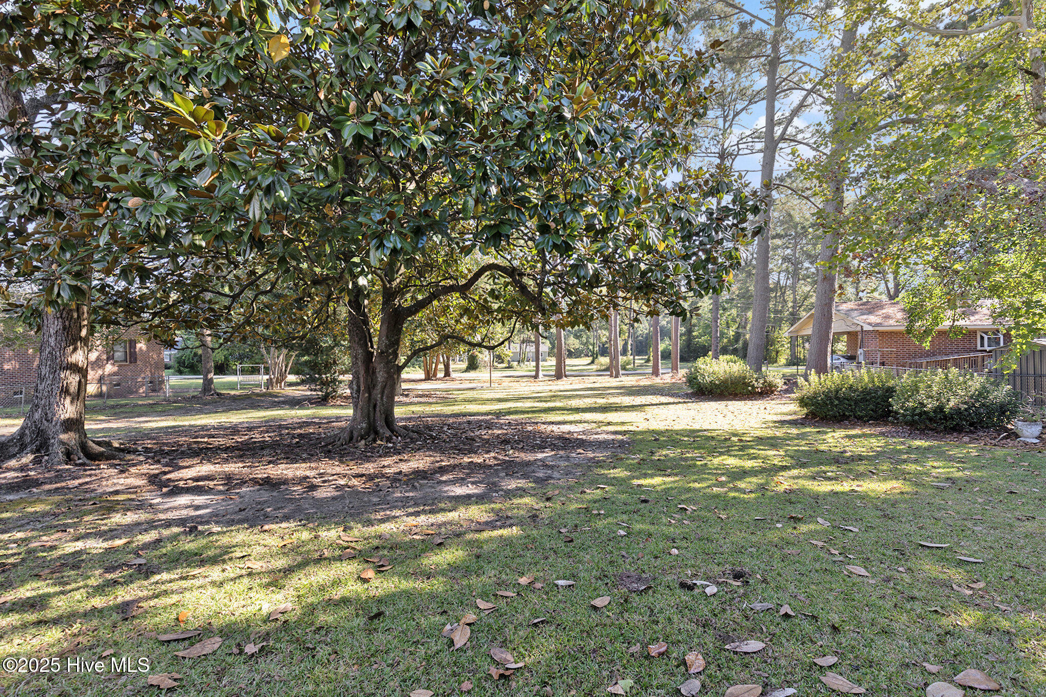 100537209 | Photo 43