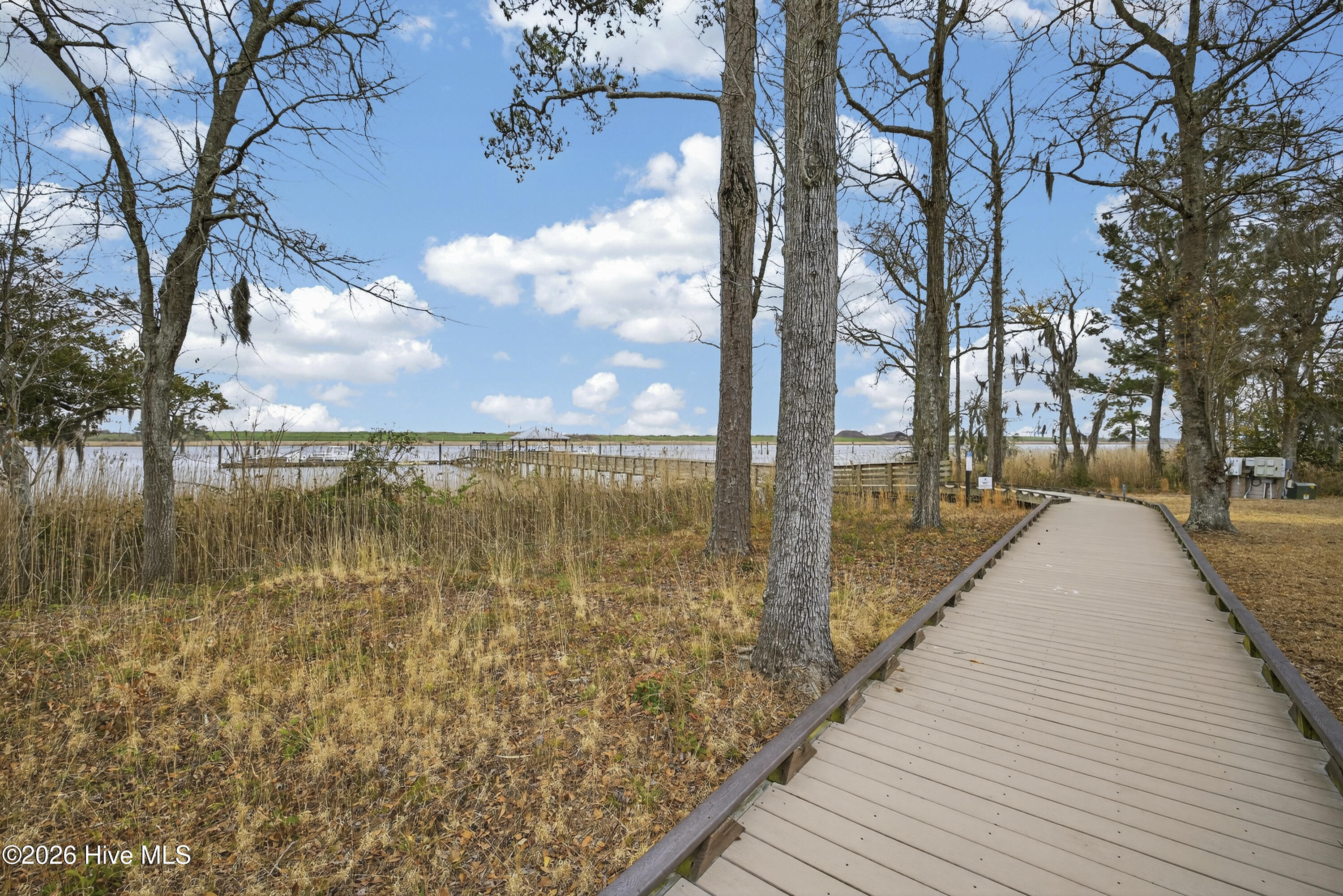 100558263 | Photo 40