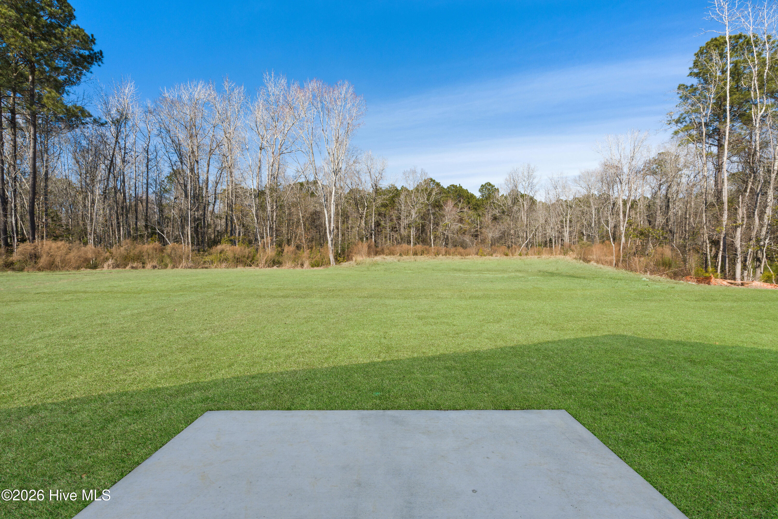 100552146 | Photo 33