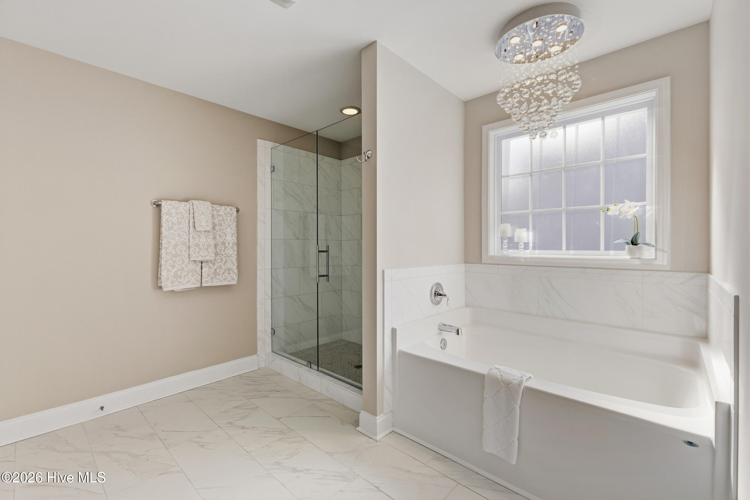 100558195 | Photo 34