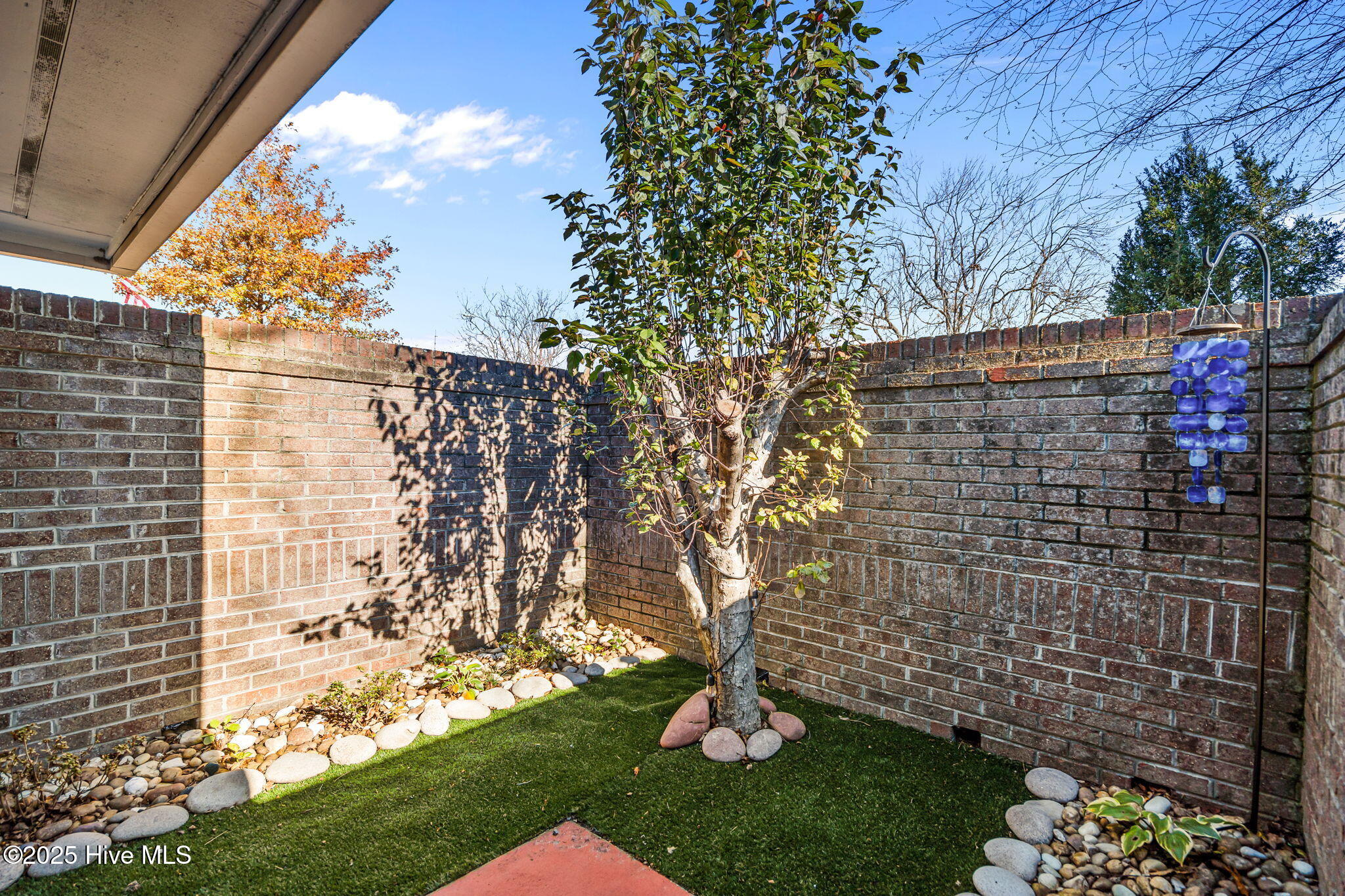 100544988 | Photo 33