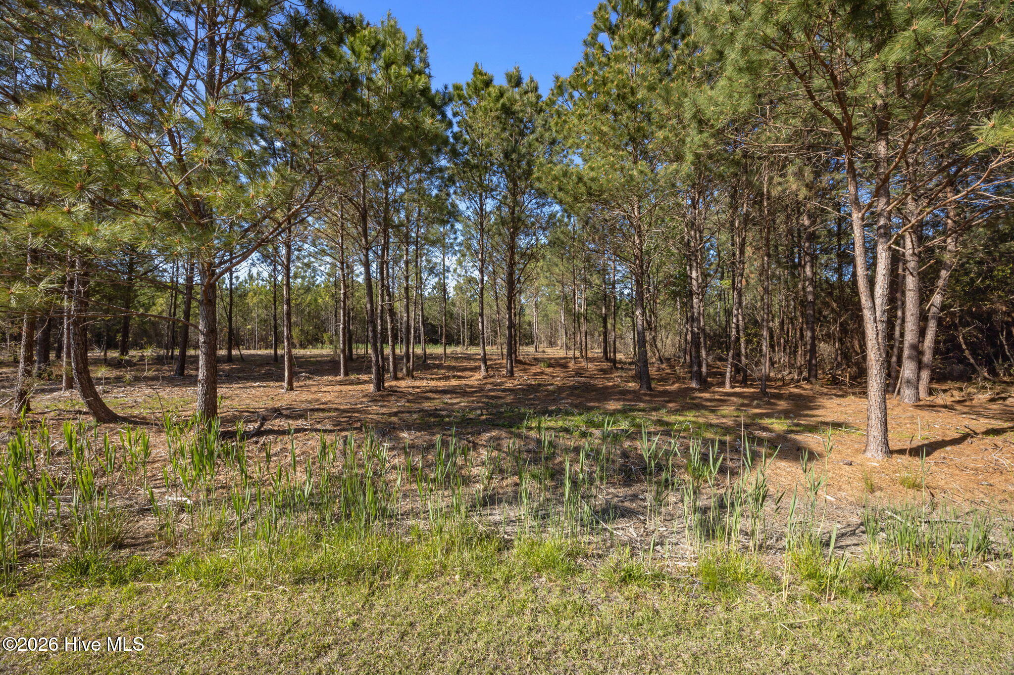 11 44 E Diamond Shoal Lane,Vandemere