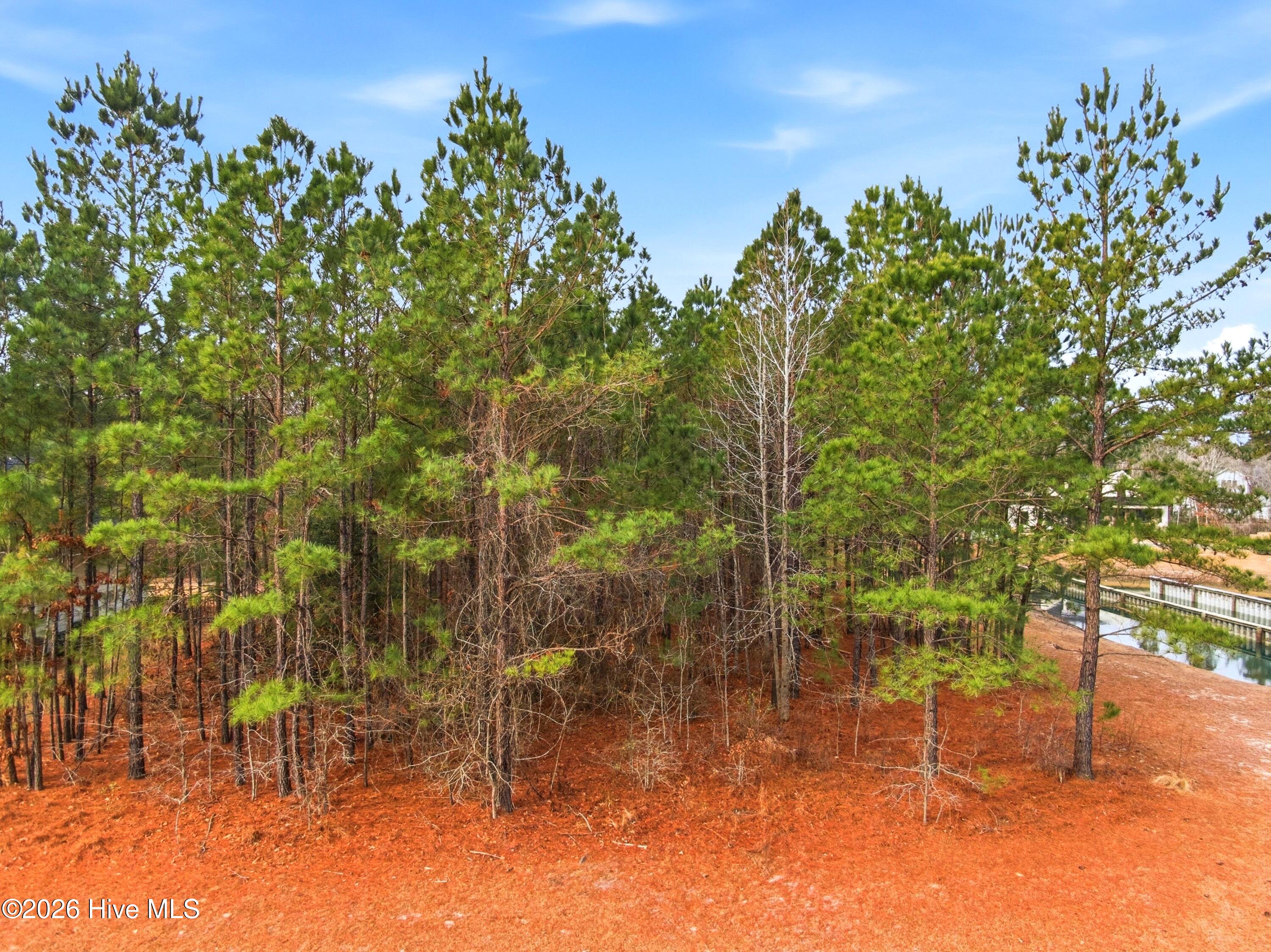 100551490 | Photo 26