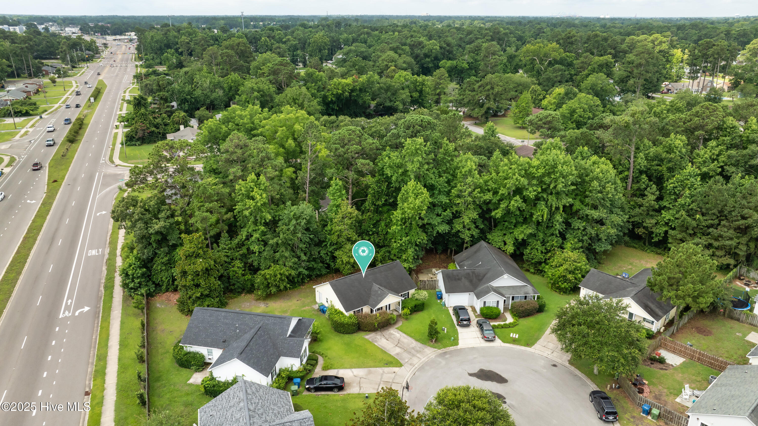 100517859 | Photo 34