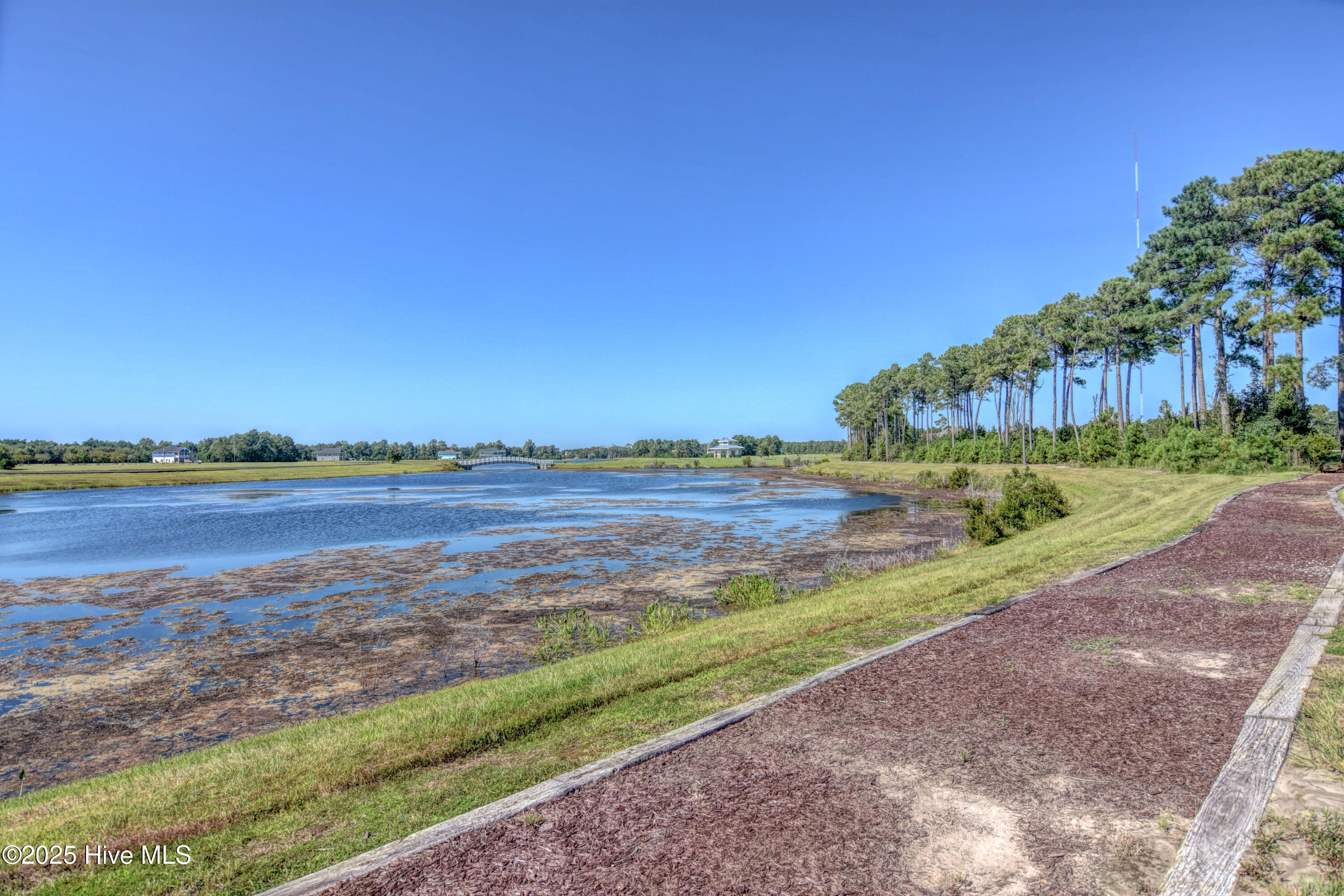 100545605 | Photo 60