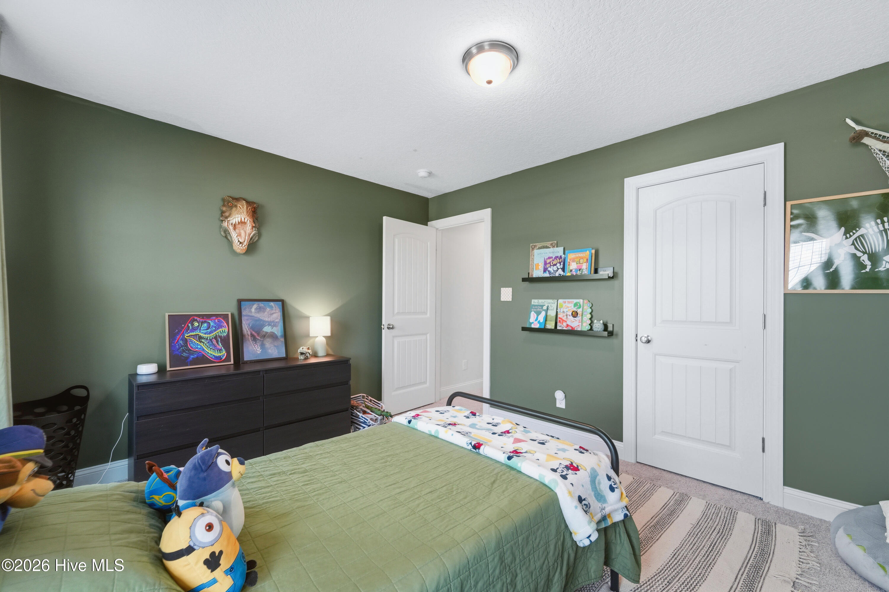 706 Puppy Drum Lane,Maysville