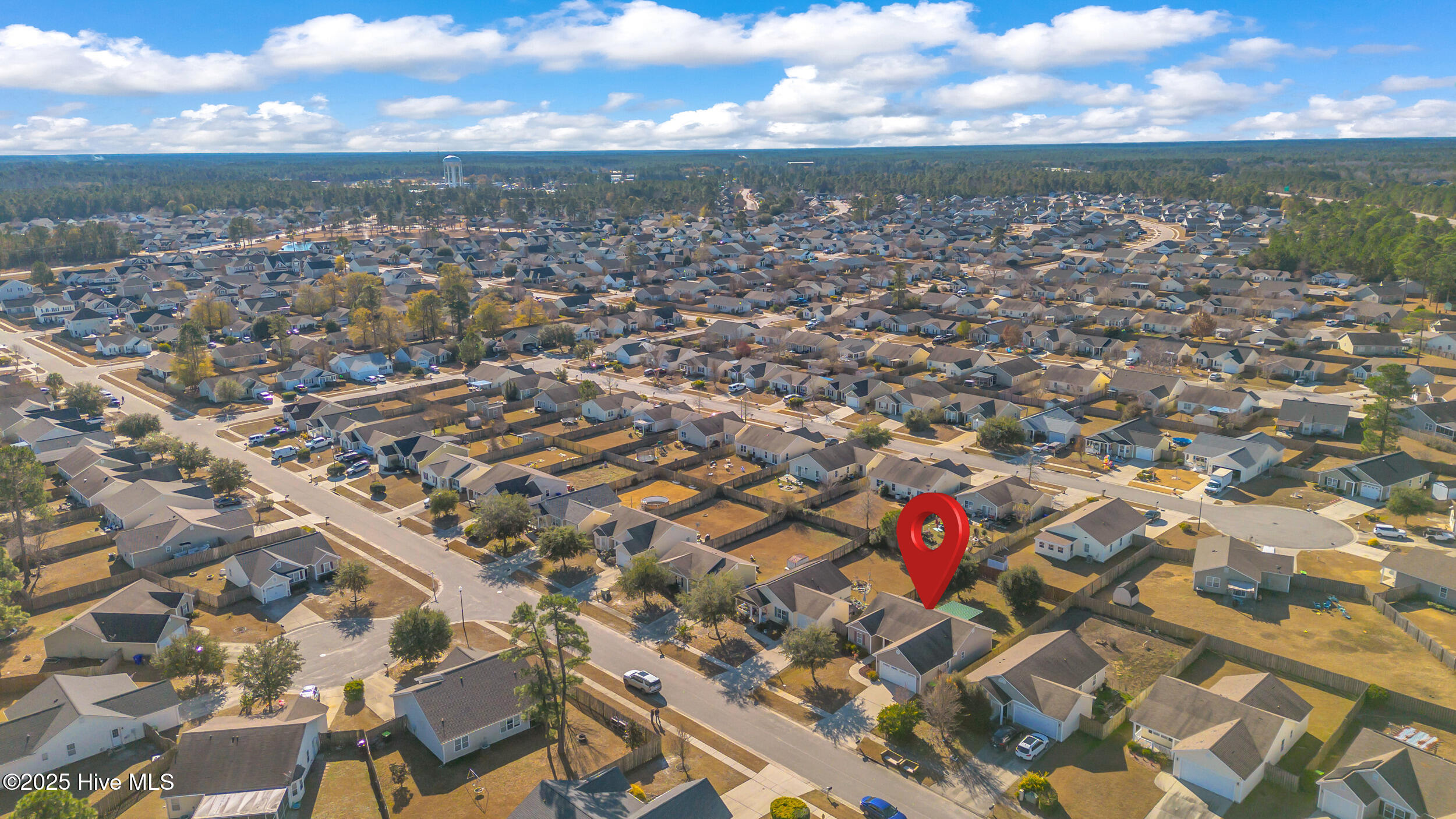 100545882 | Photo 38