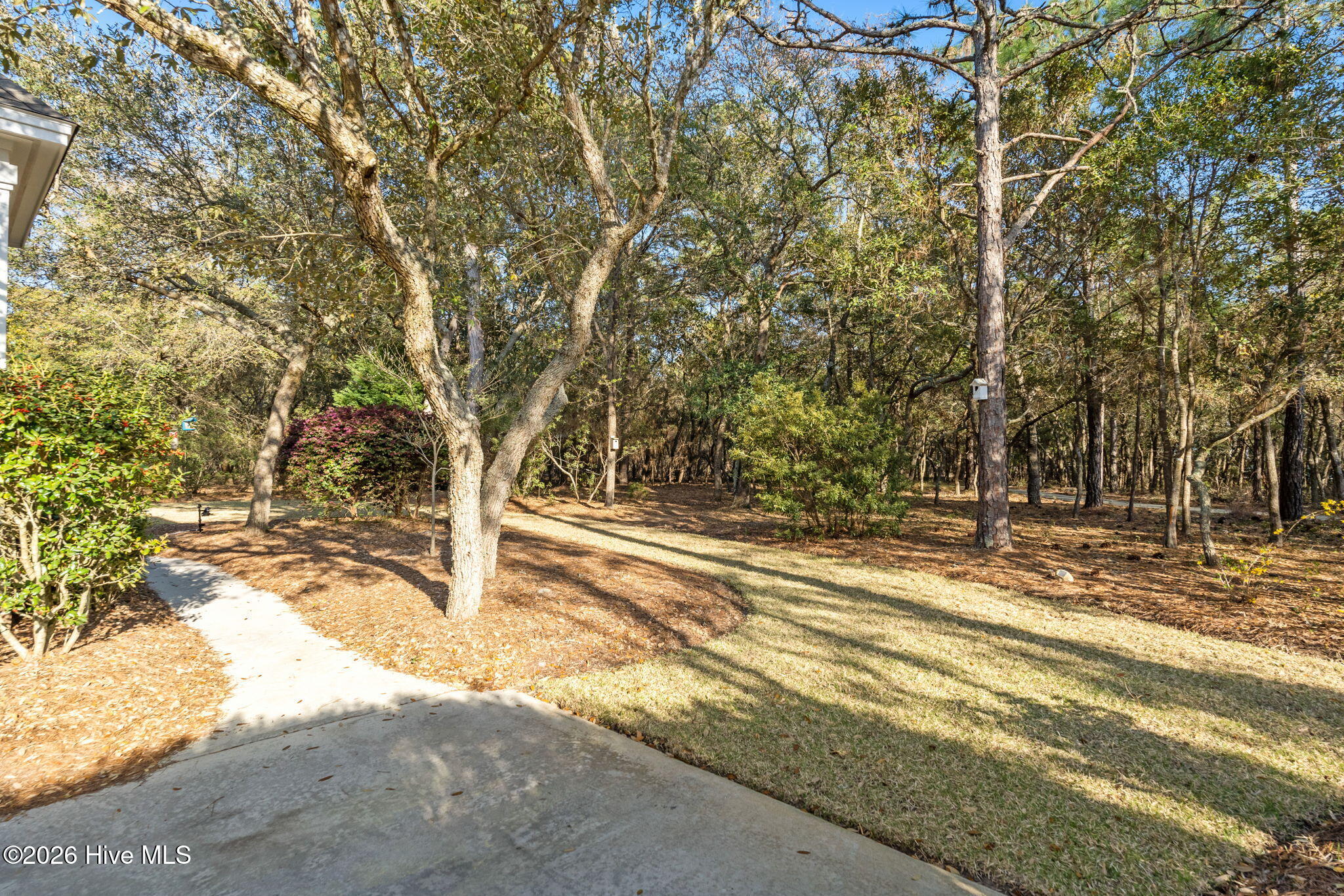 100563336 | Photo 53