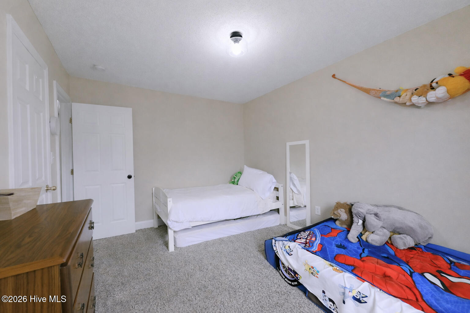 100562387 | Photo 32