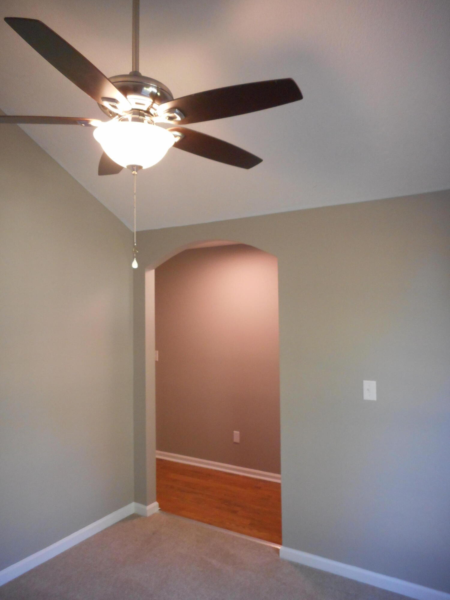 Ceiling fan