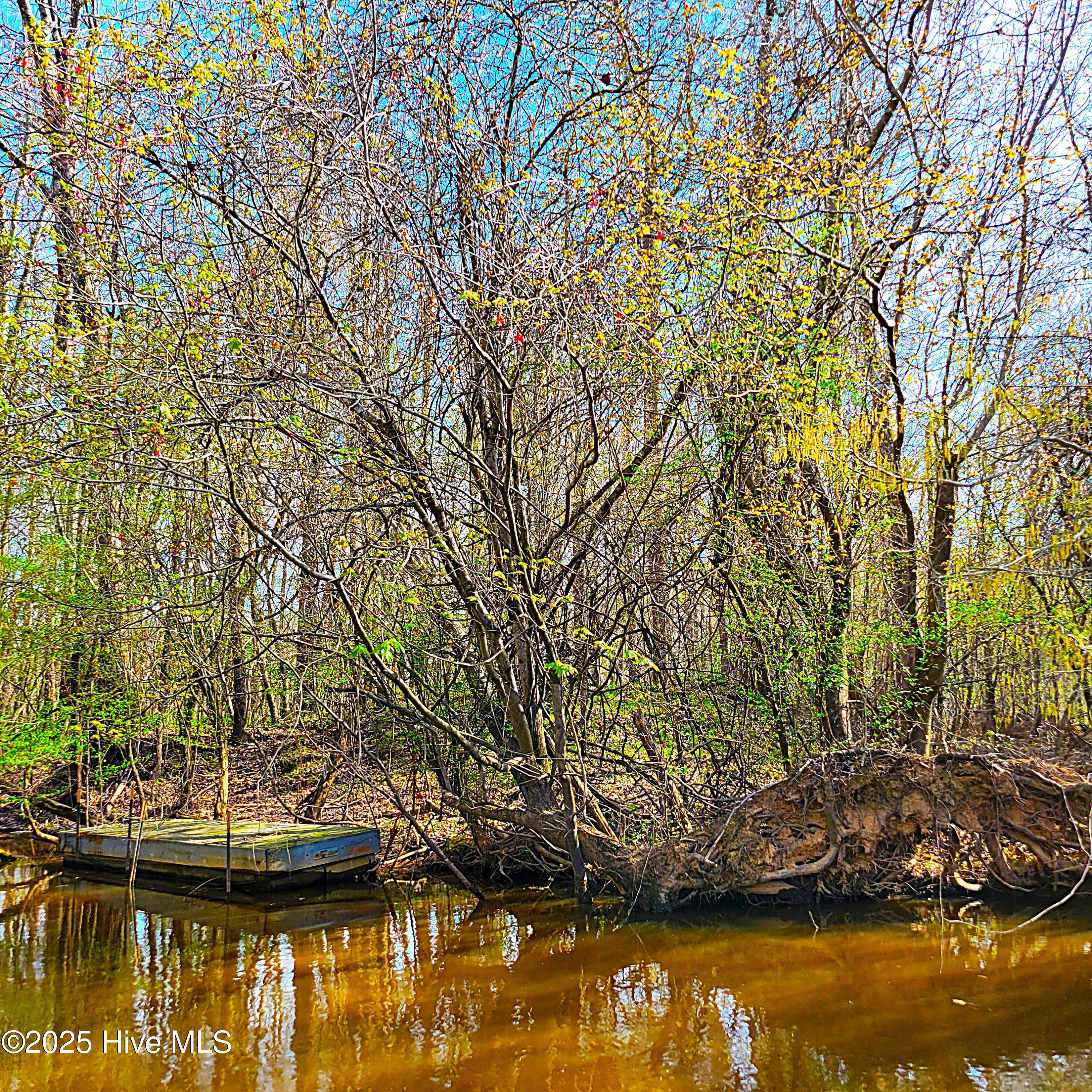 100496184 | Photo 10