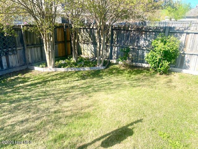 100566156 | Photo 36