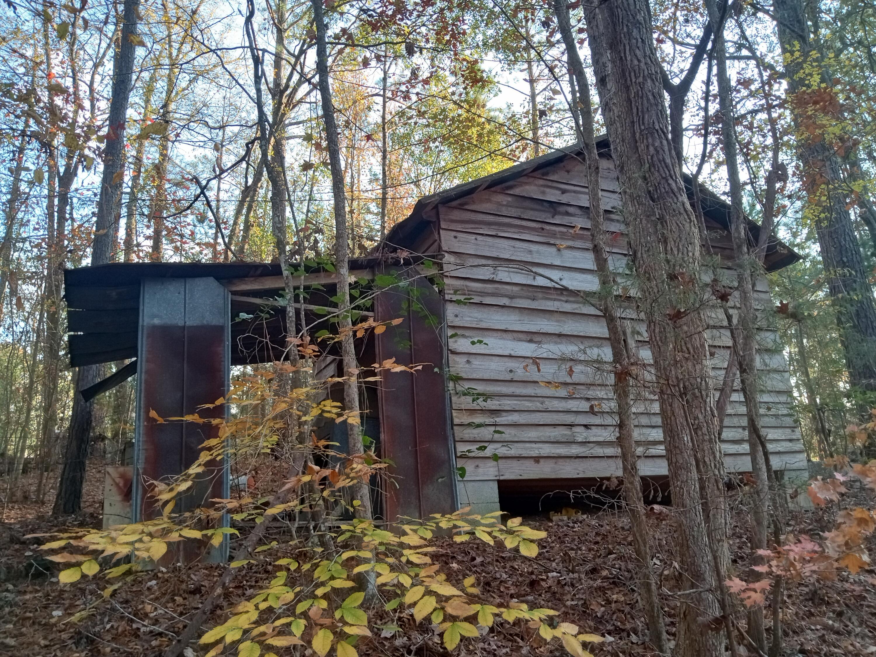 IMG_20241126_160430294_HDR