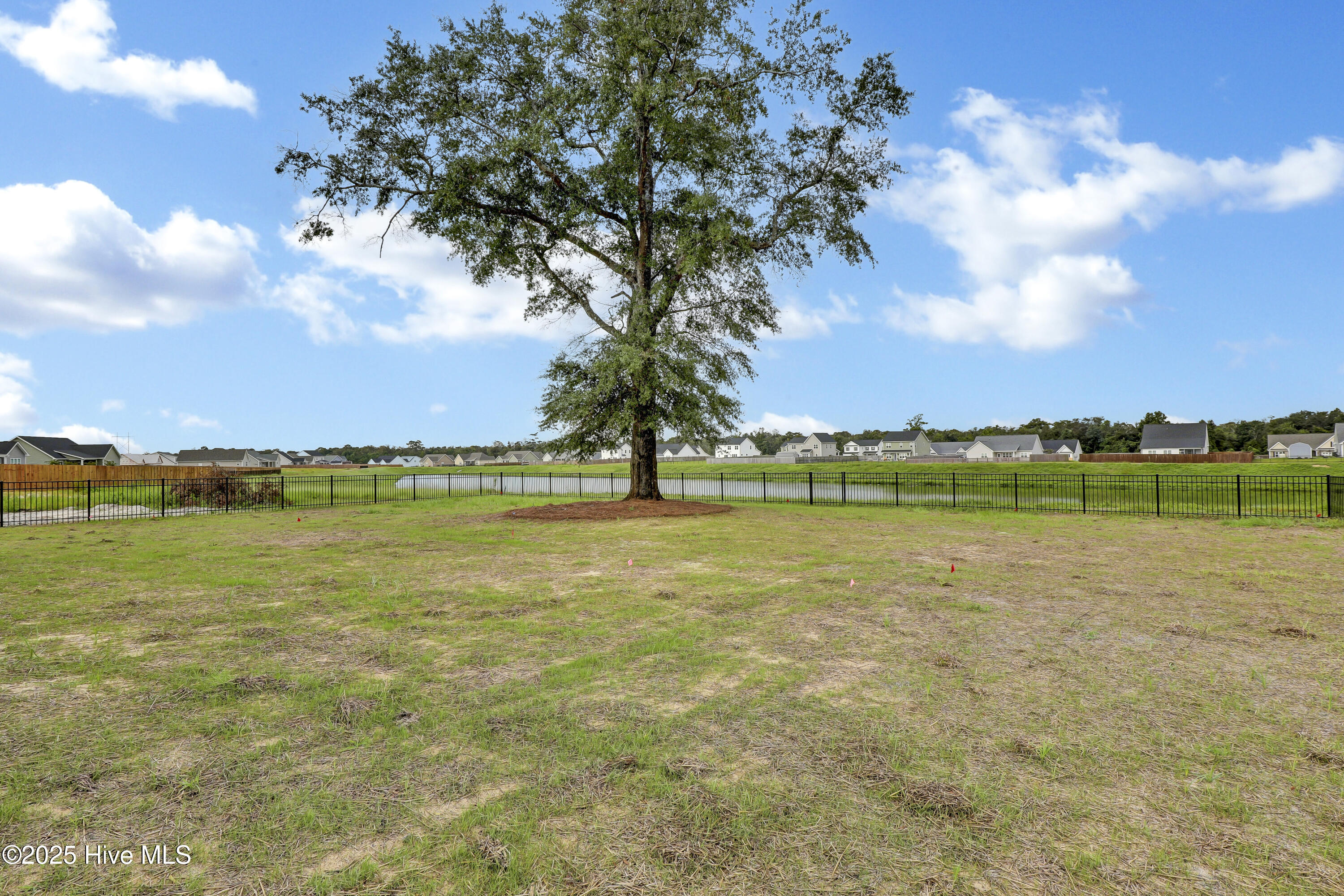 100485435 | Photo 29