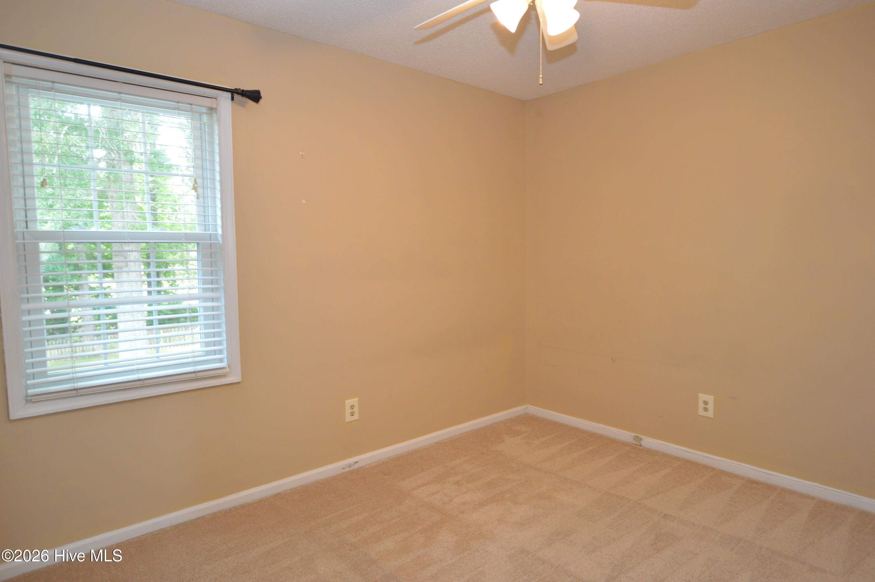 100547848 | Photo 16