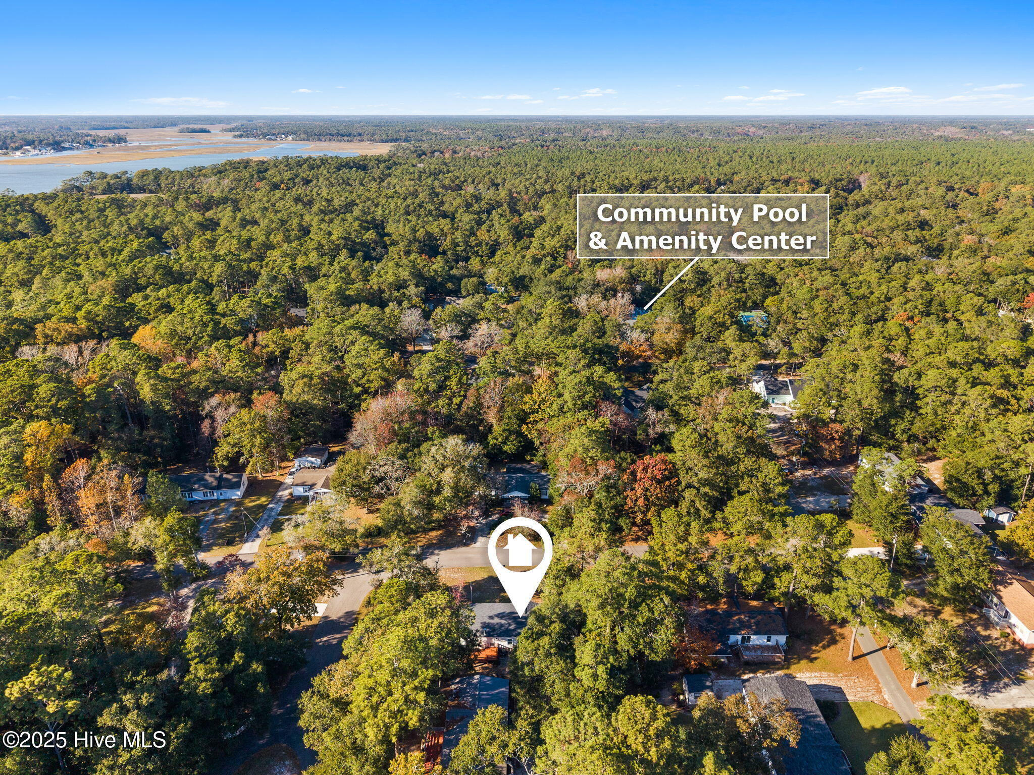 100541276 | Photo 35