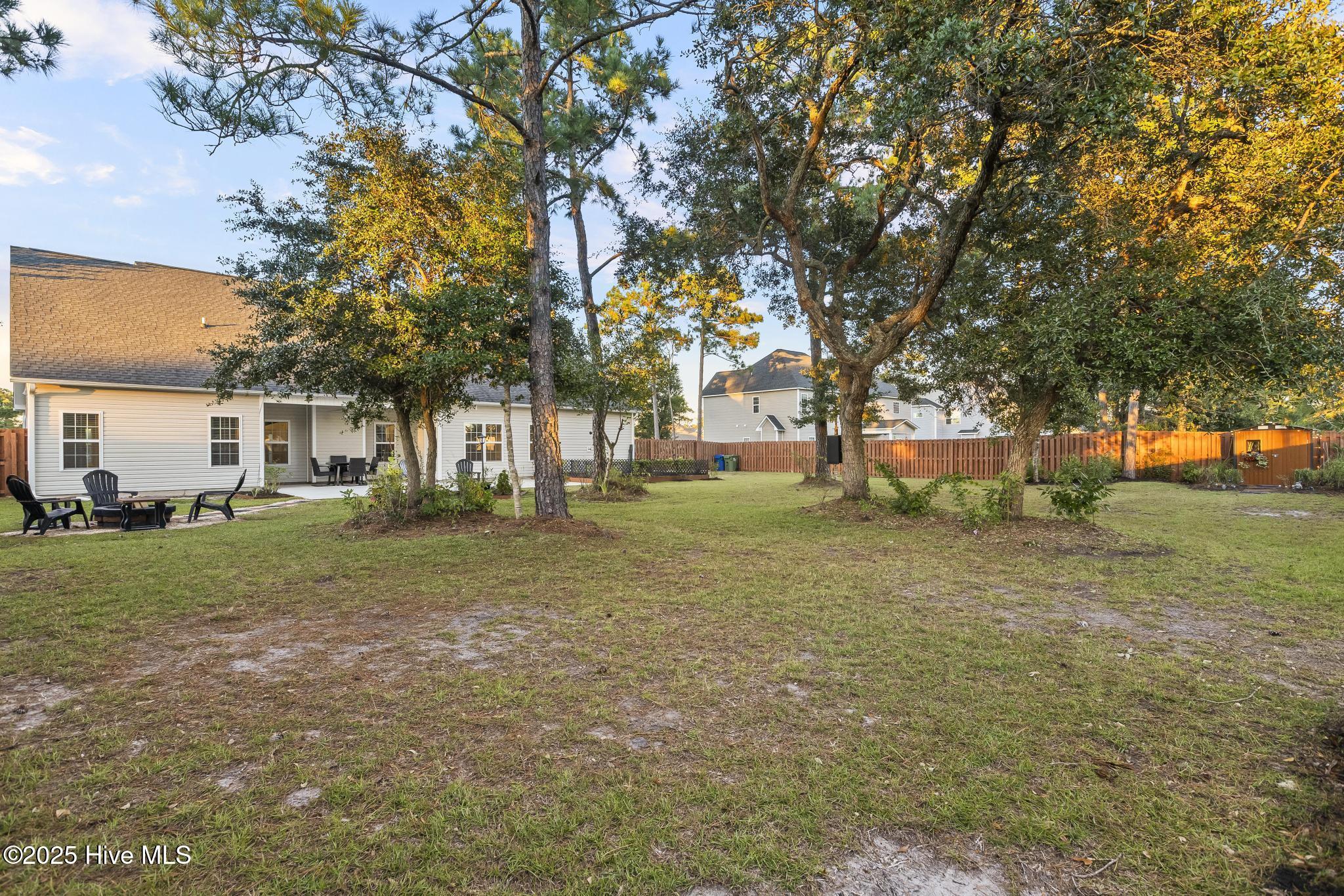 100536910 | Photo 50