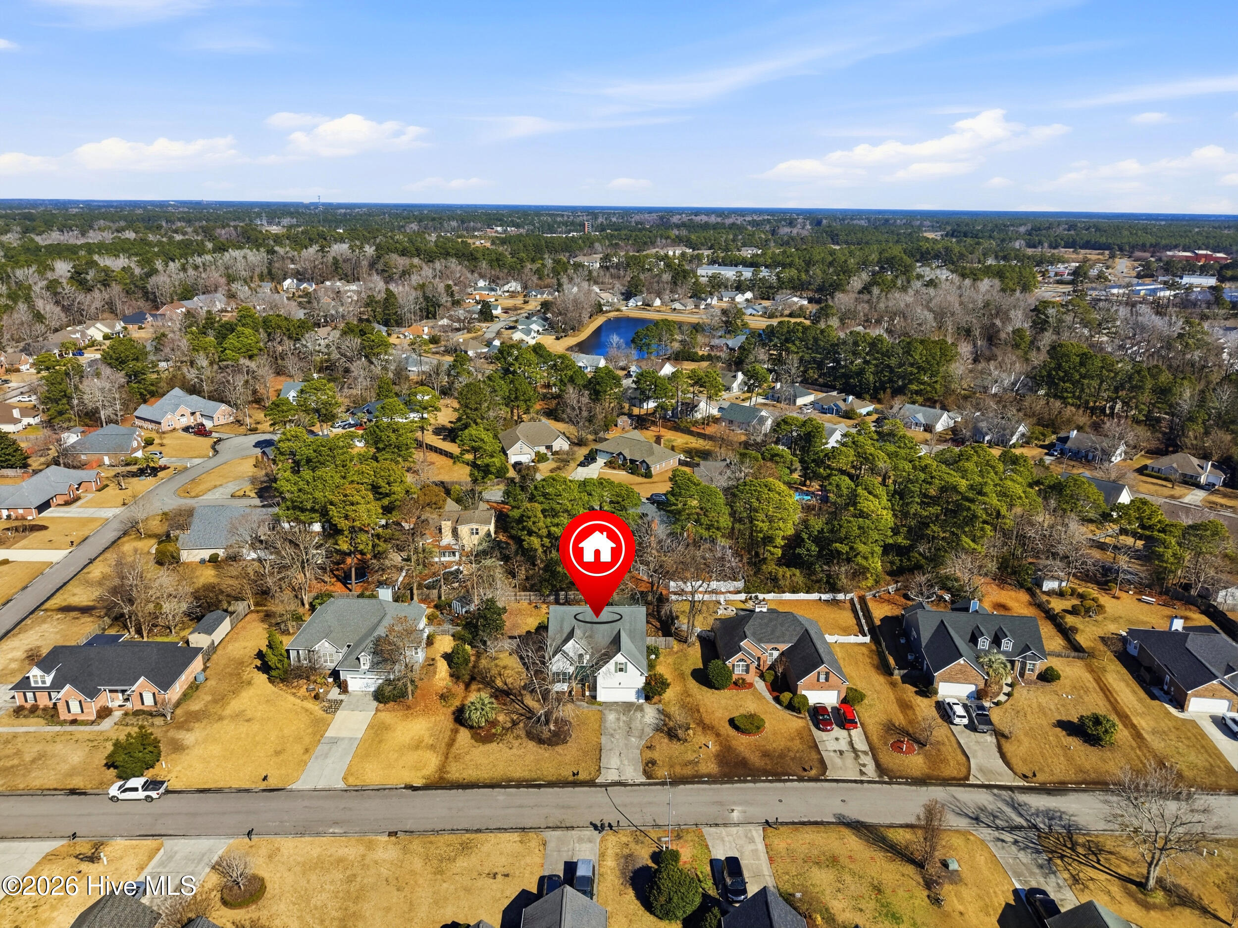 100553859 | Photo 42