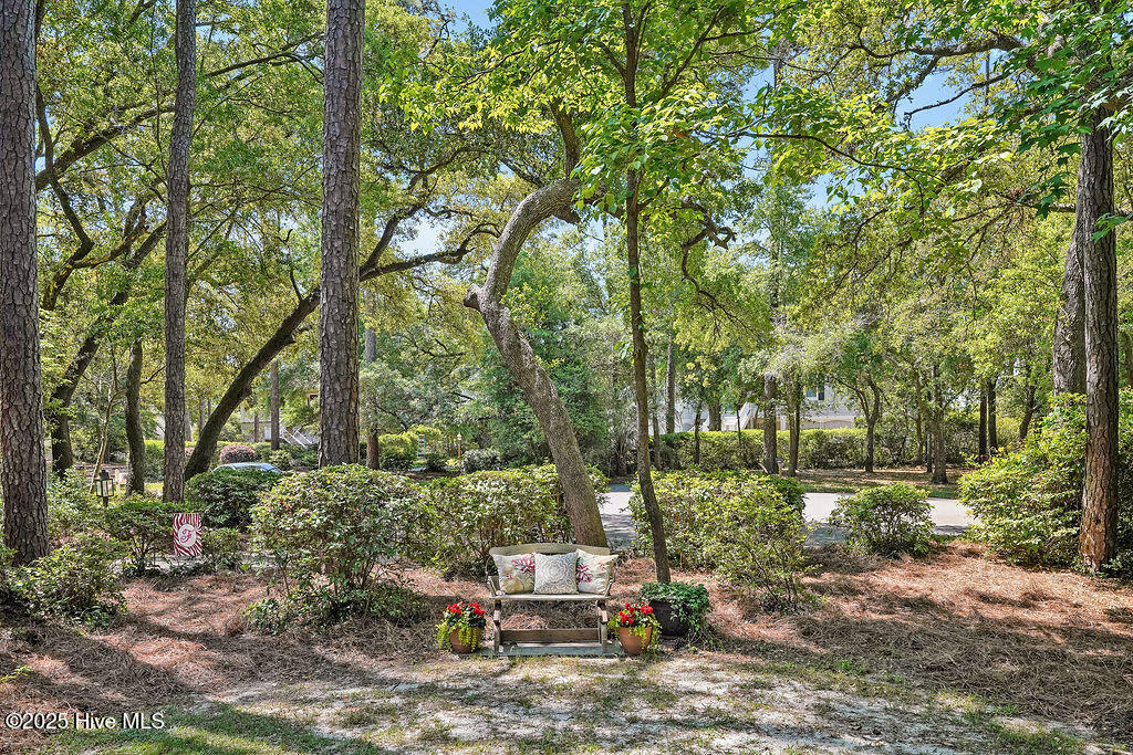 100504453 | Photo 44