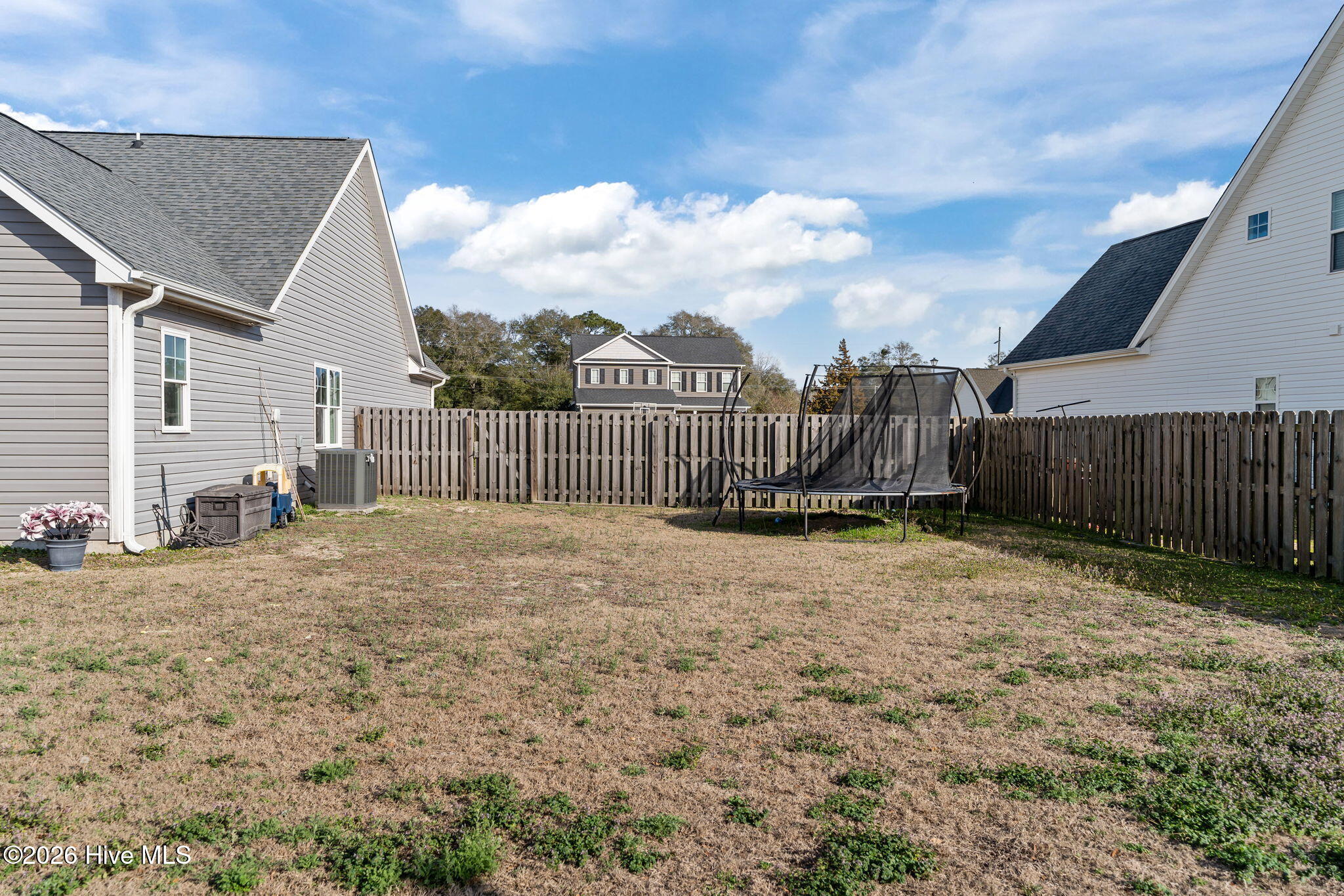 100558156 | Photo 50