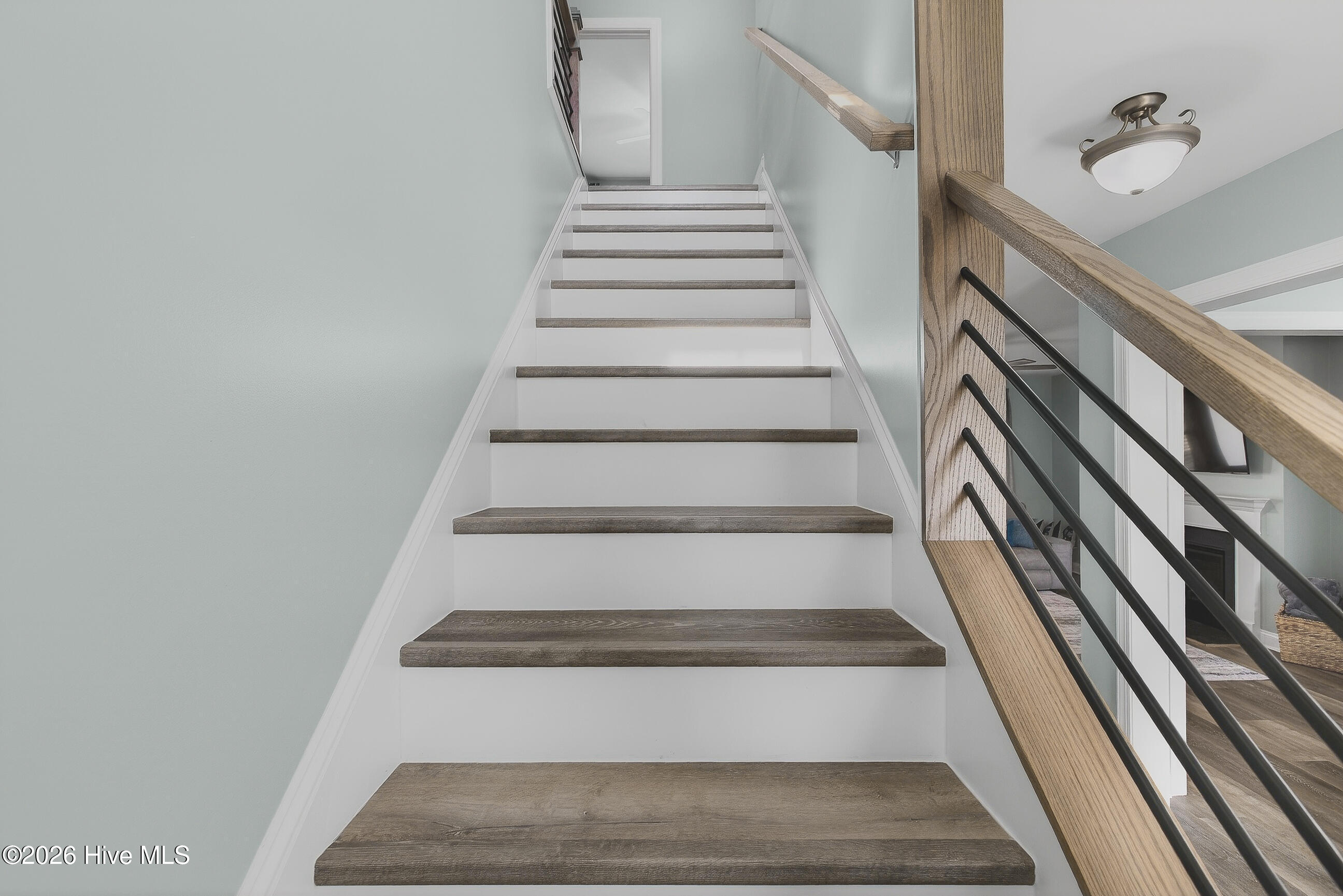 100563505 | Photo 24