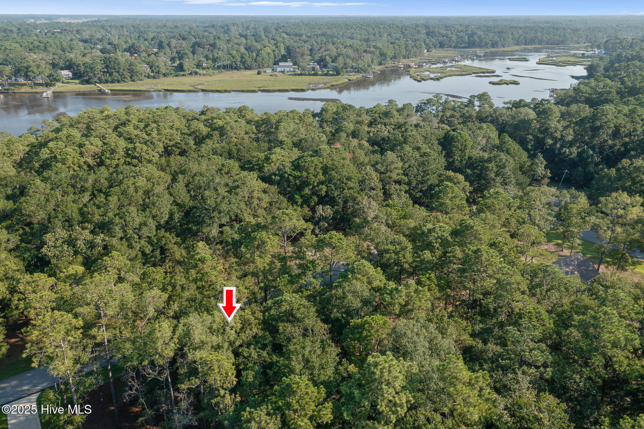 100526036 | Photo 13