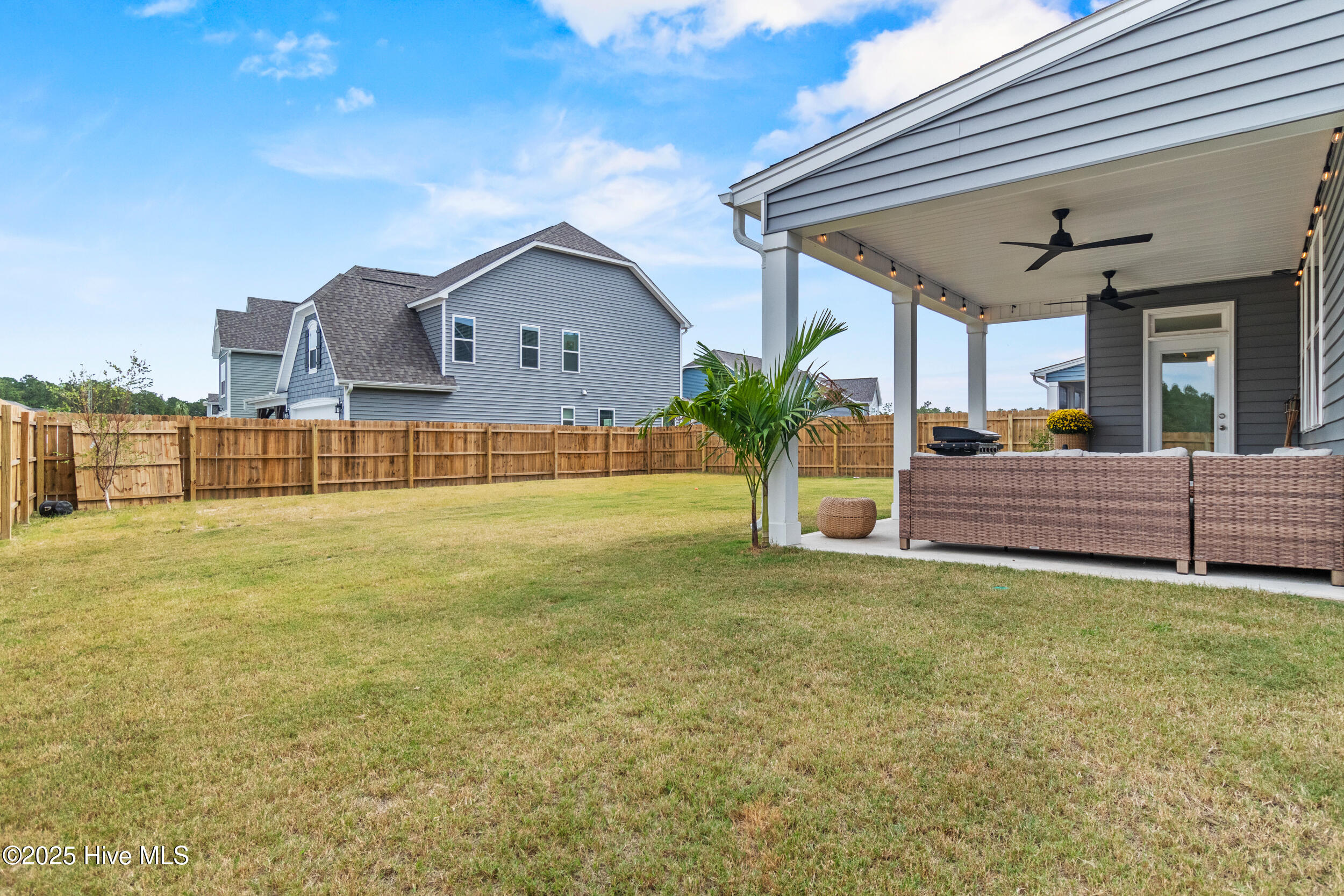 100524281 | Photo 46