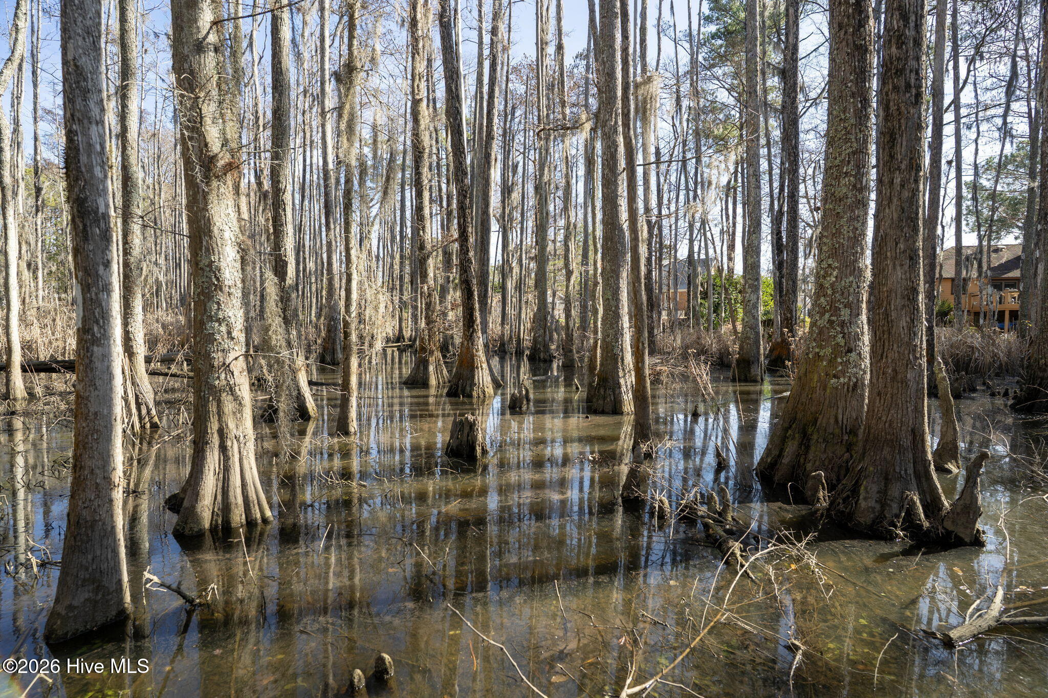 100550743 | Photo 22